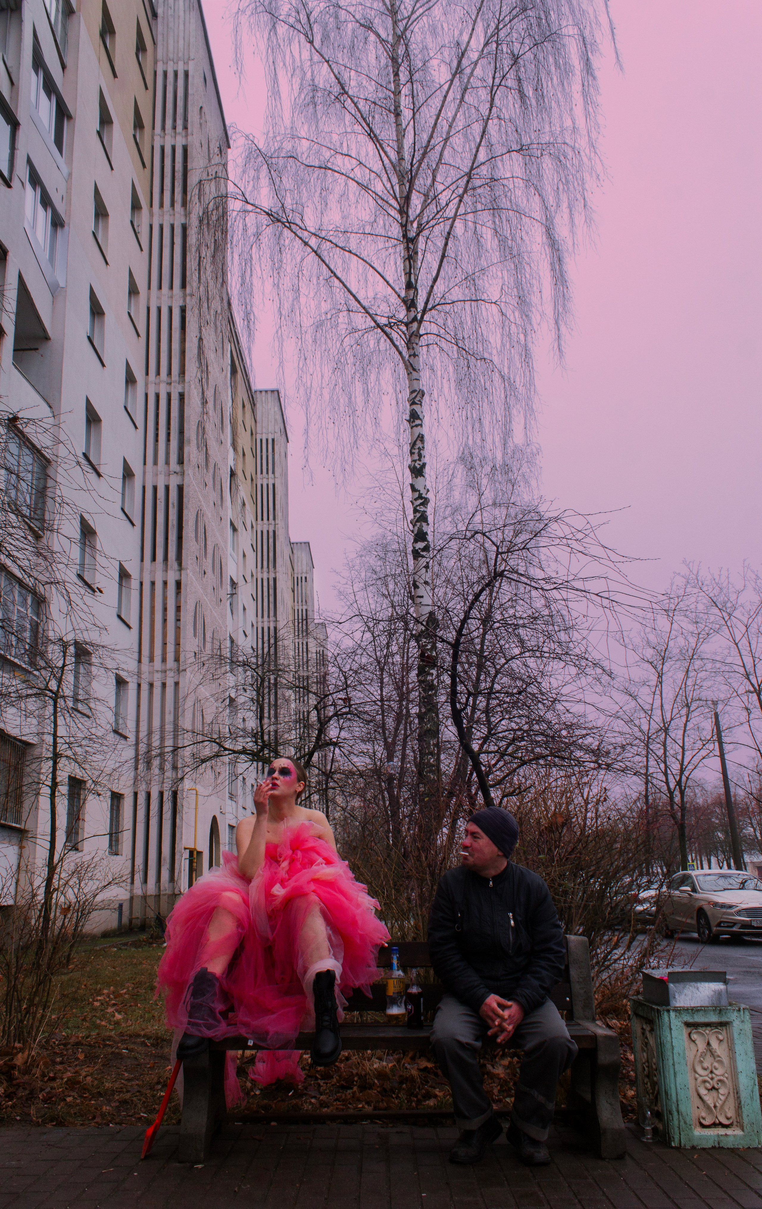 Яркая собачья жизнь