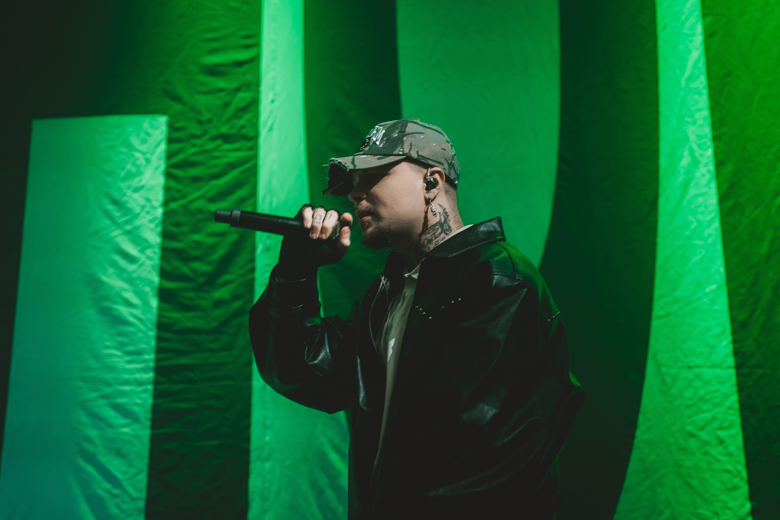 SALUKI. Фотограф Санкт-Петербурга