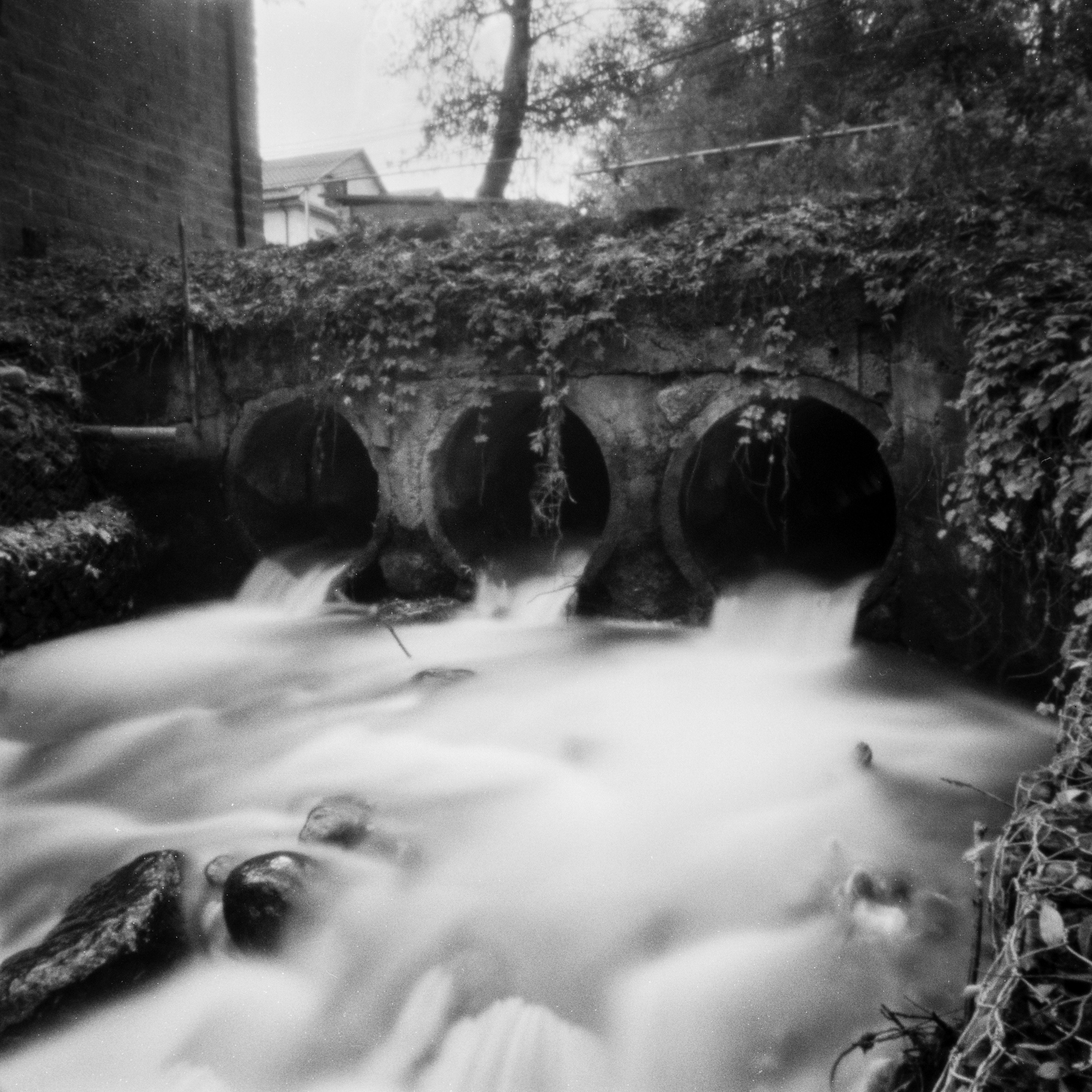 Pinhole. Philipp Yelistratov