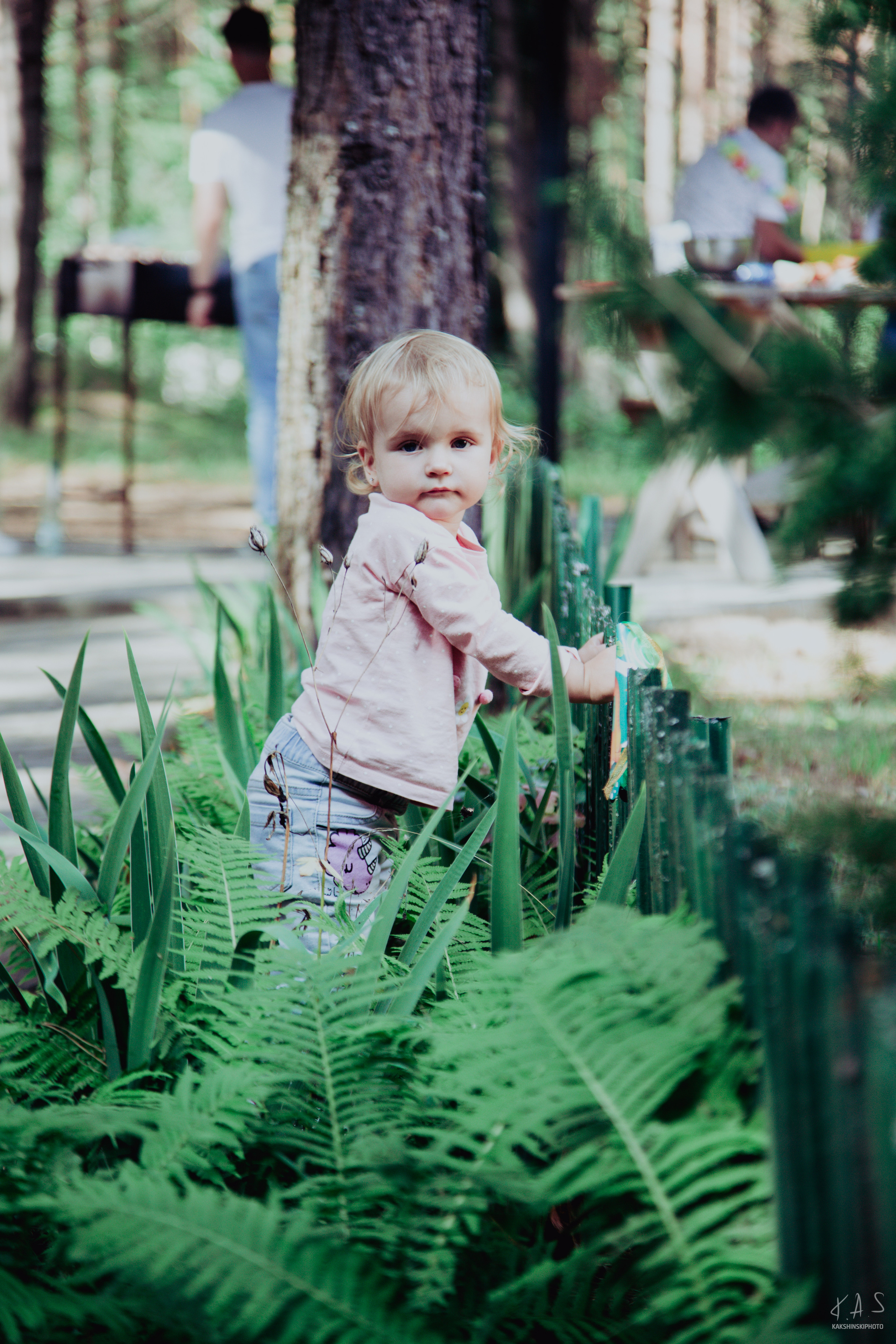 День рождения Софии. Фотография и видеосъёмка