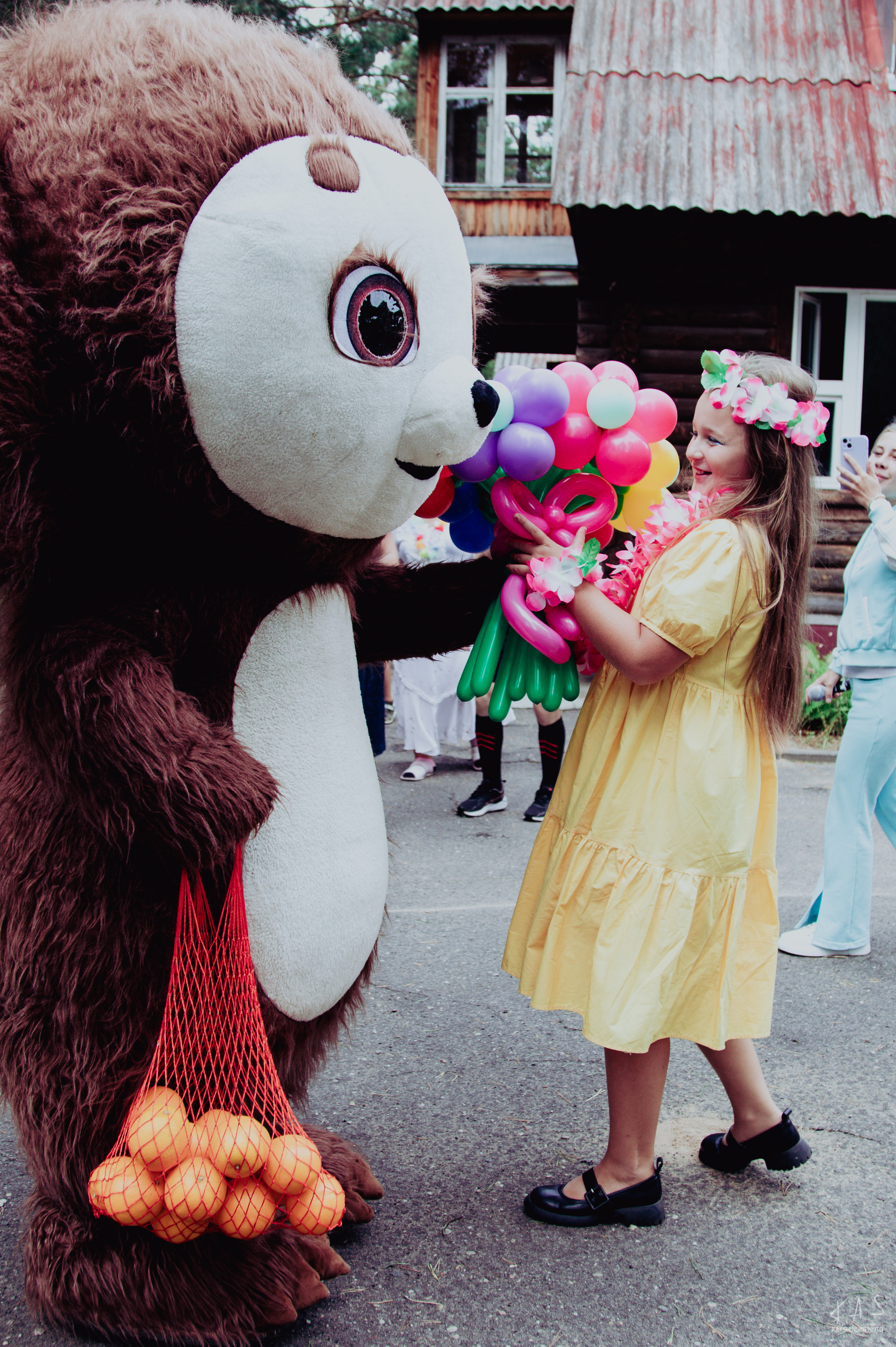 День рождения Софии. Фотография и видеосъёмка