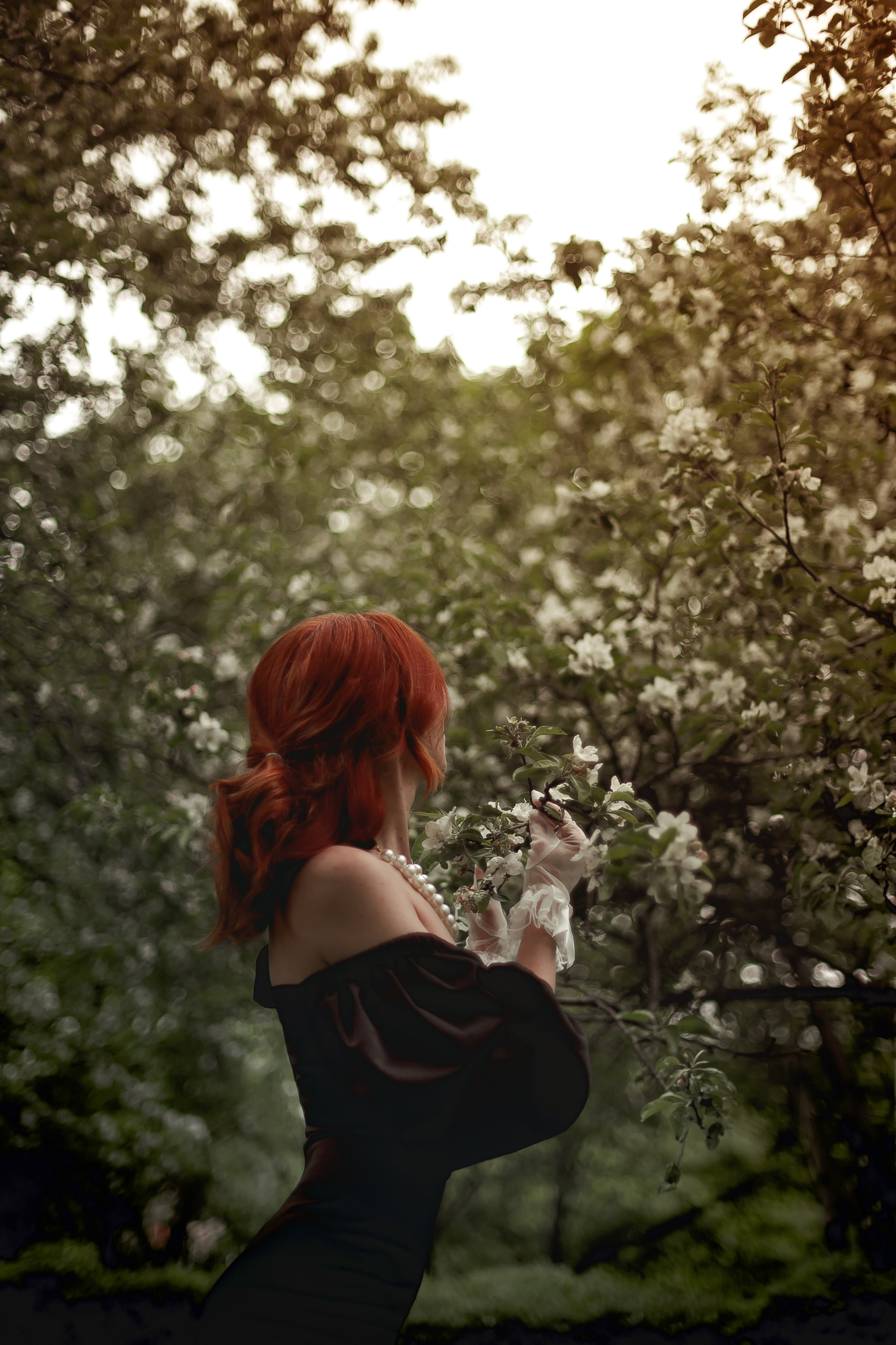 Ксения, Майское цветение. Фотограф