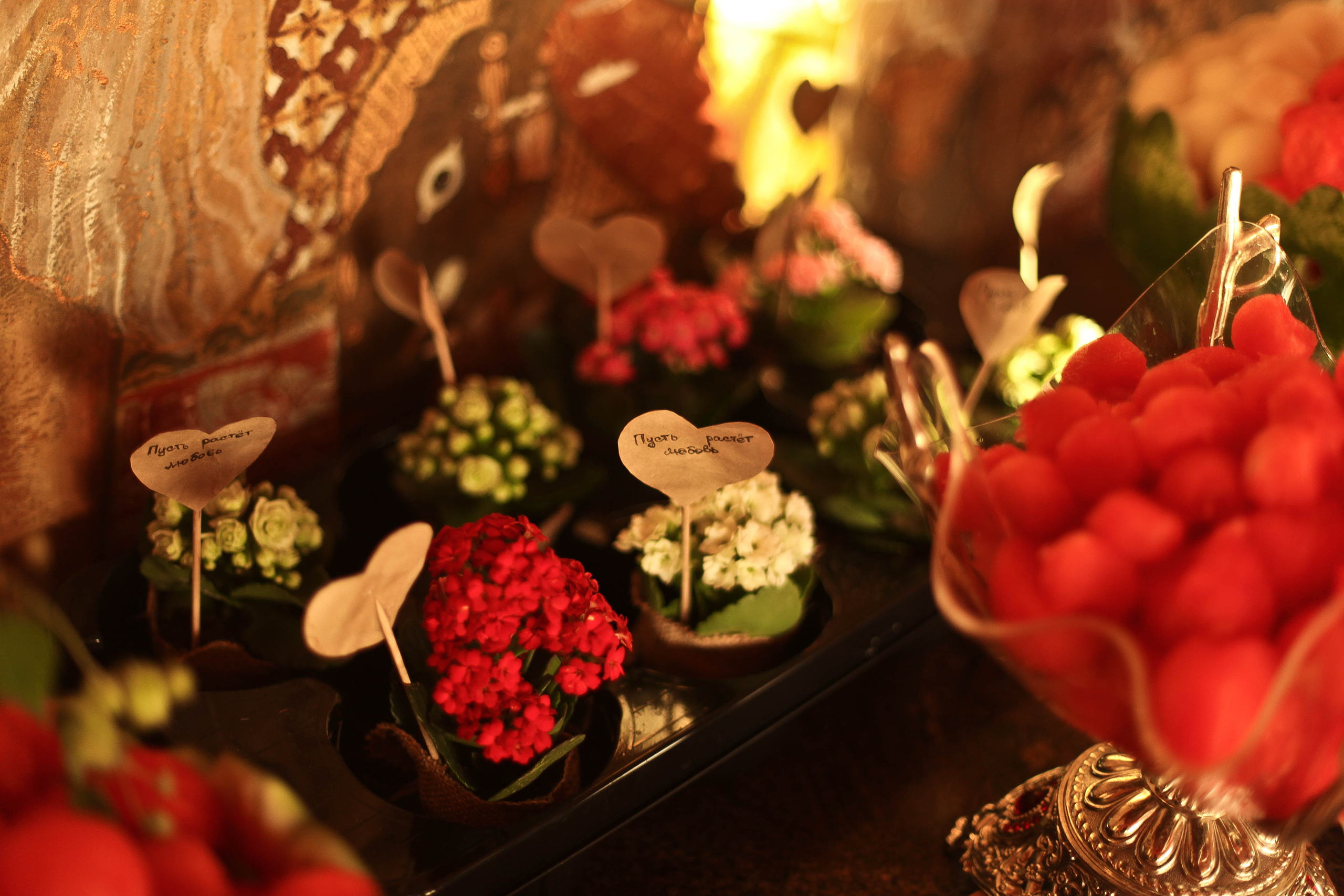 Иван и Дарья. Фотограф