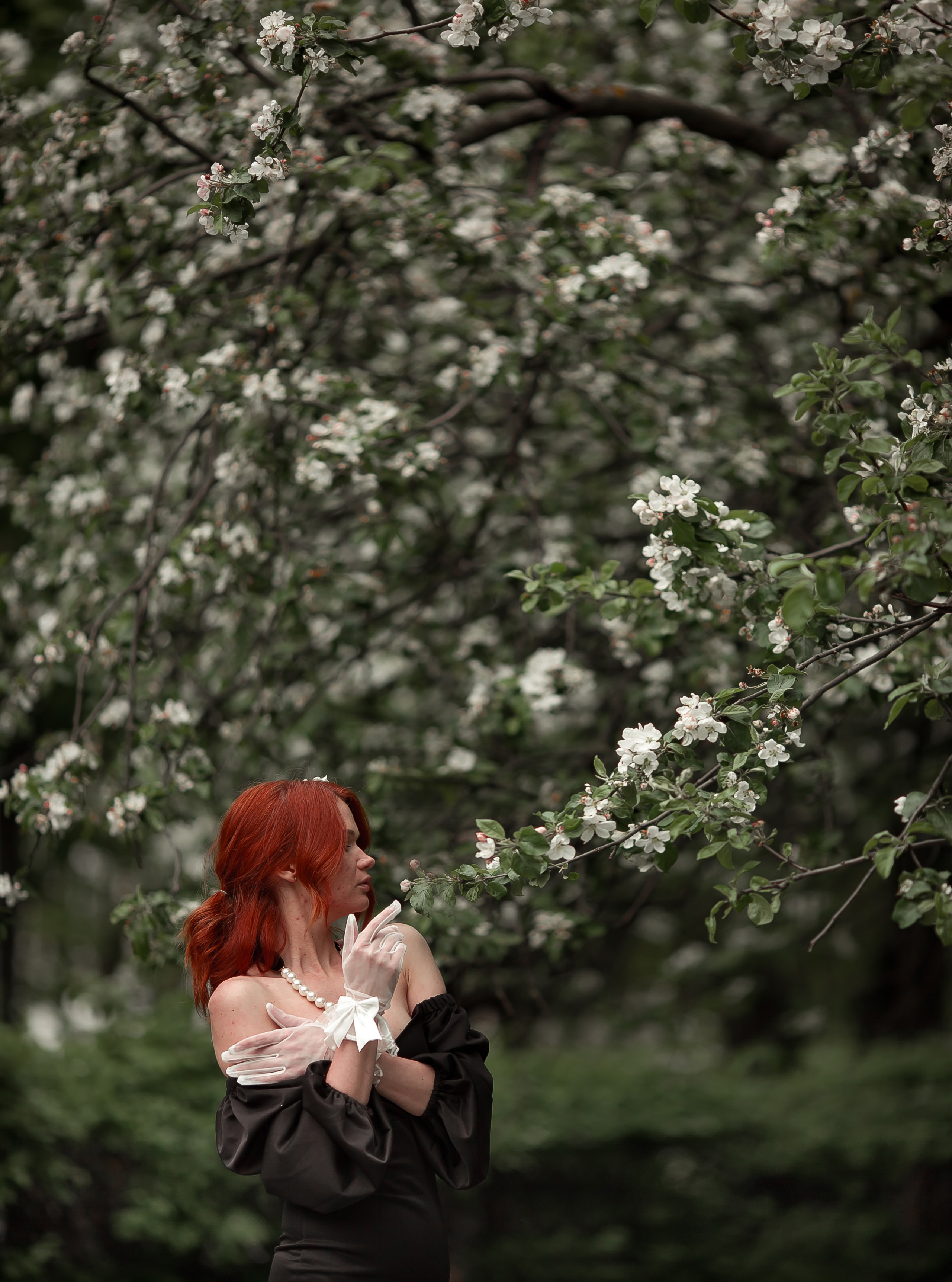 Ксения, Майское цветение. Фотограф