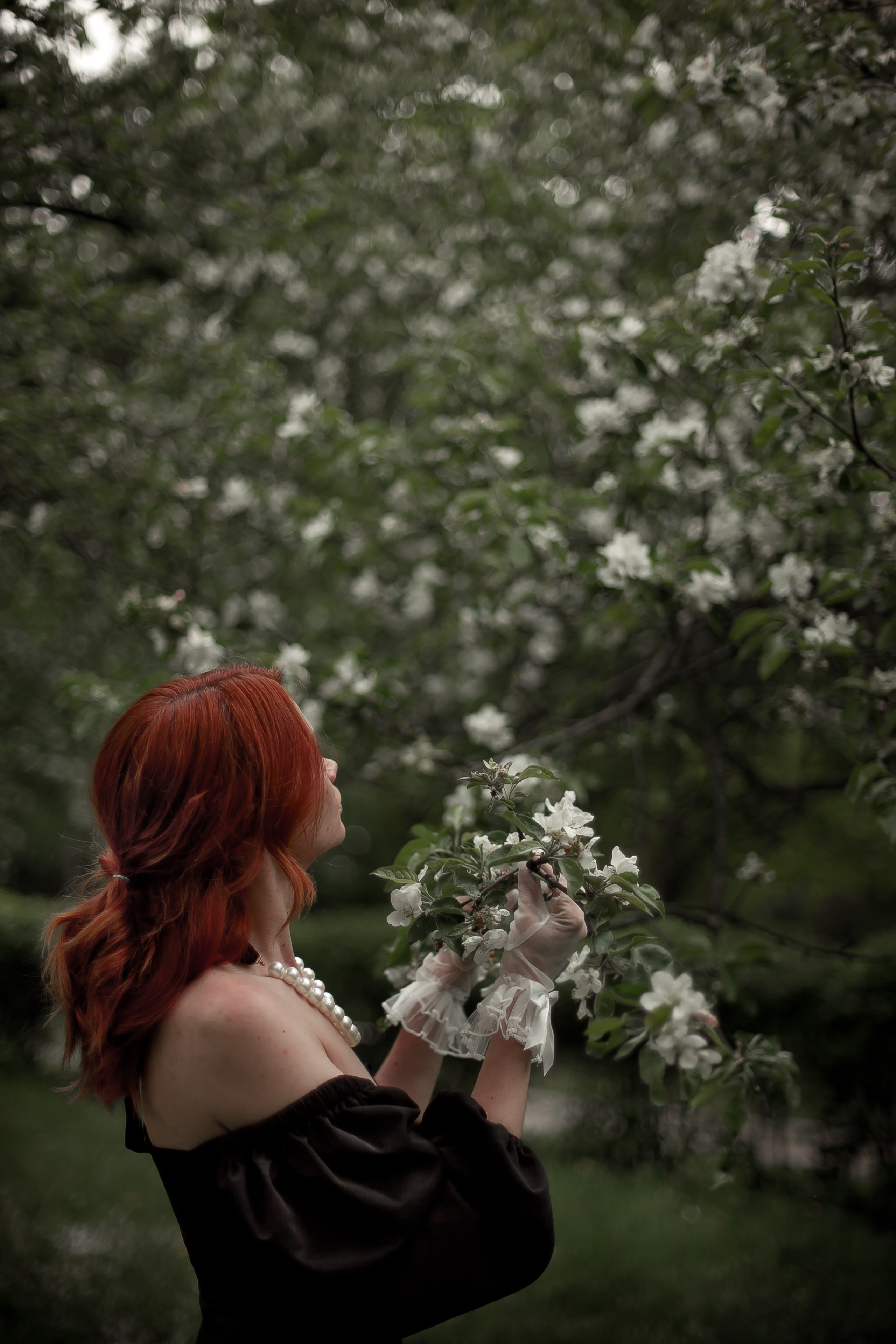 Ксения, Майское цветение. Фотограф