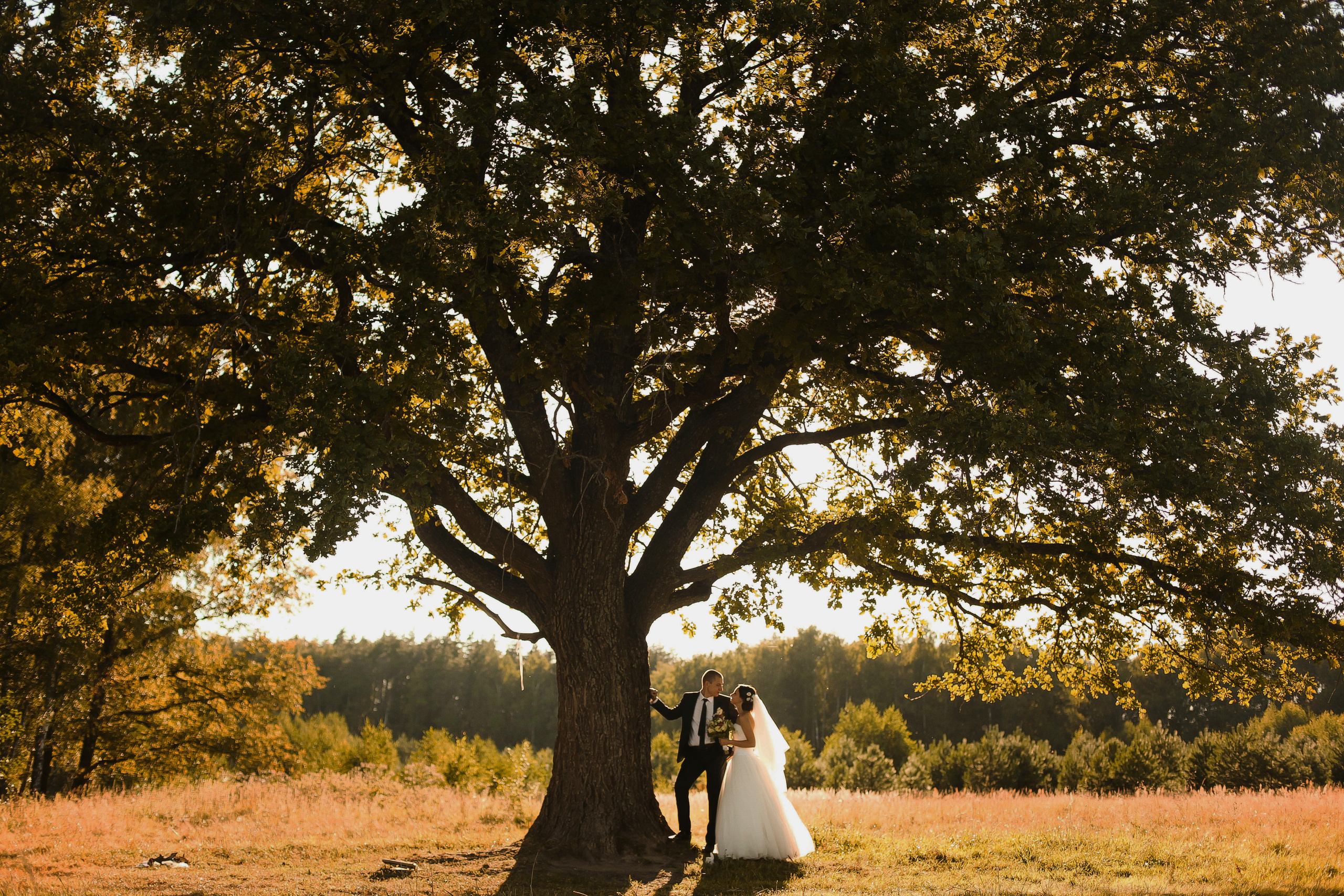 Иван и Дарья. Фотограф