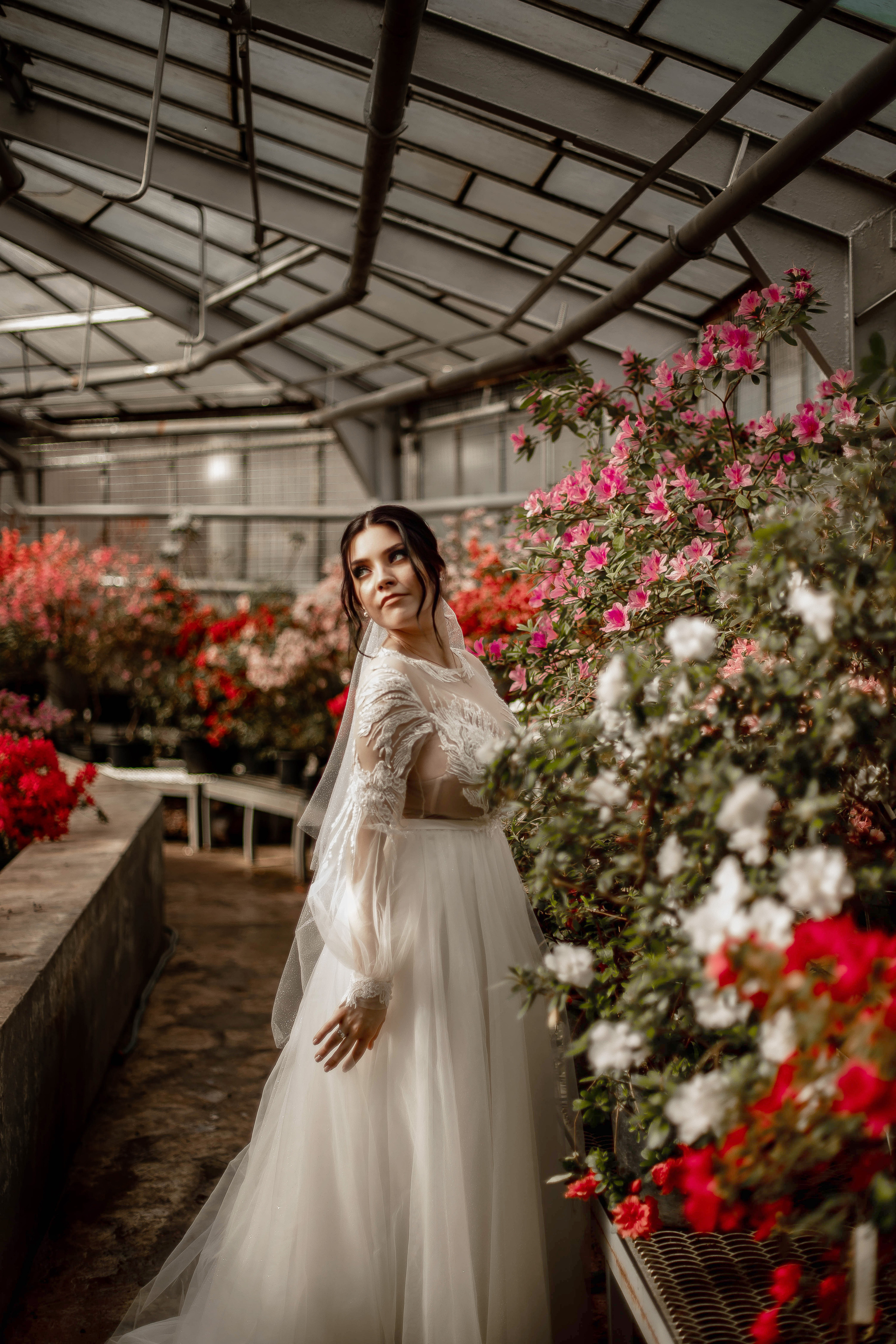 Даниил и Анастасия. Фотограф