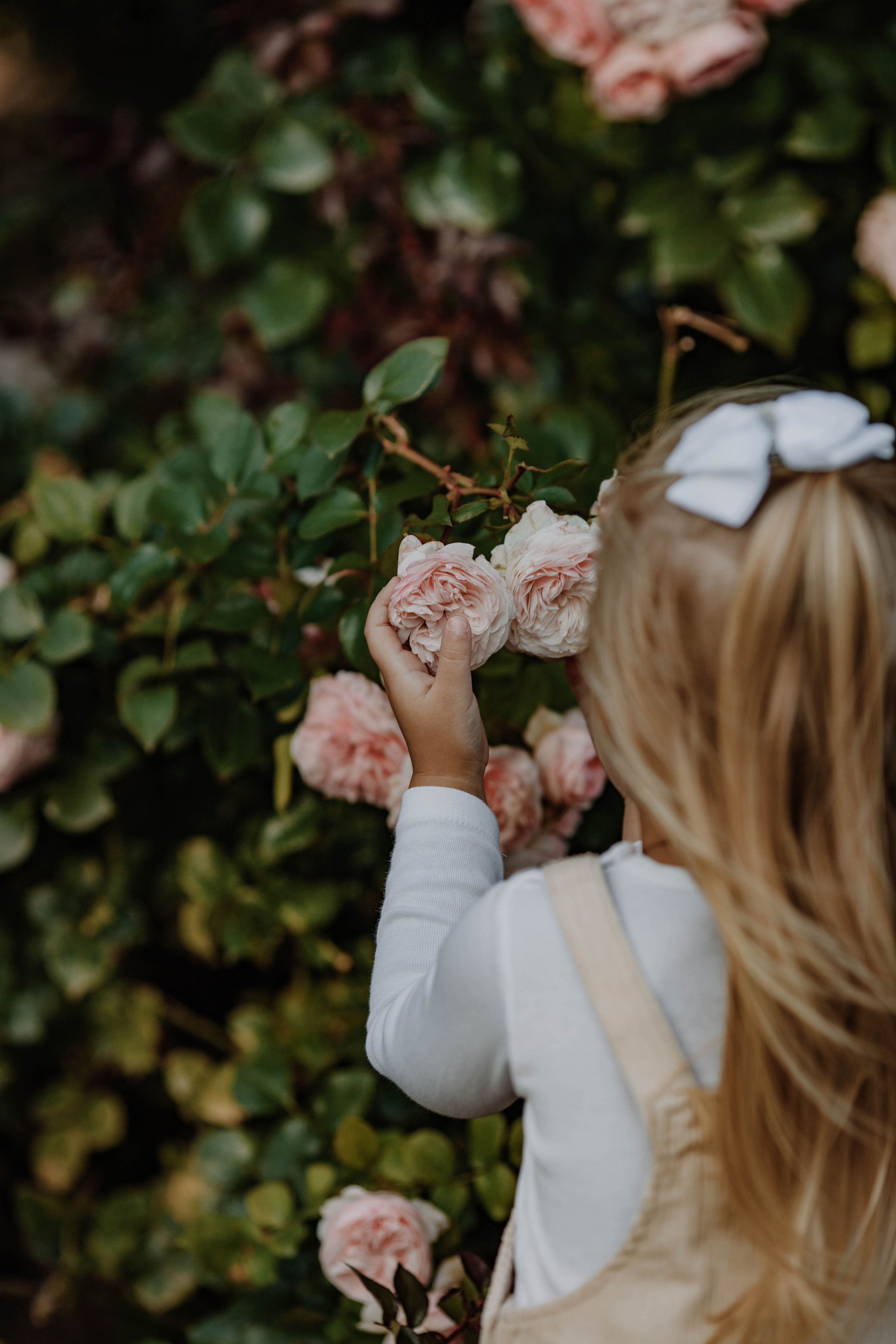 Марина и её девочки. Фотограф