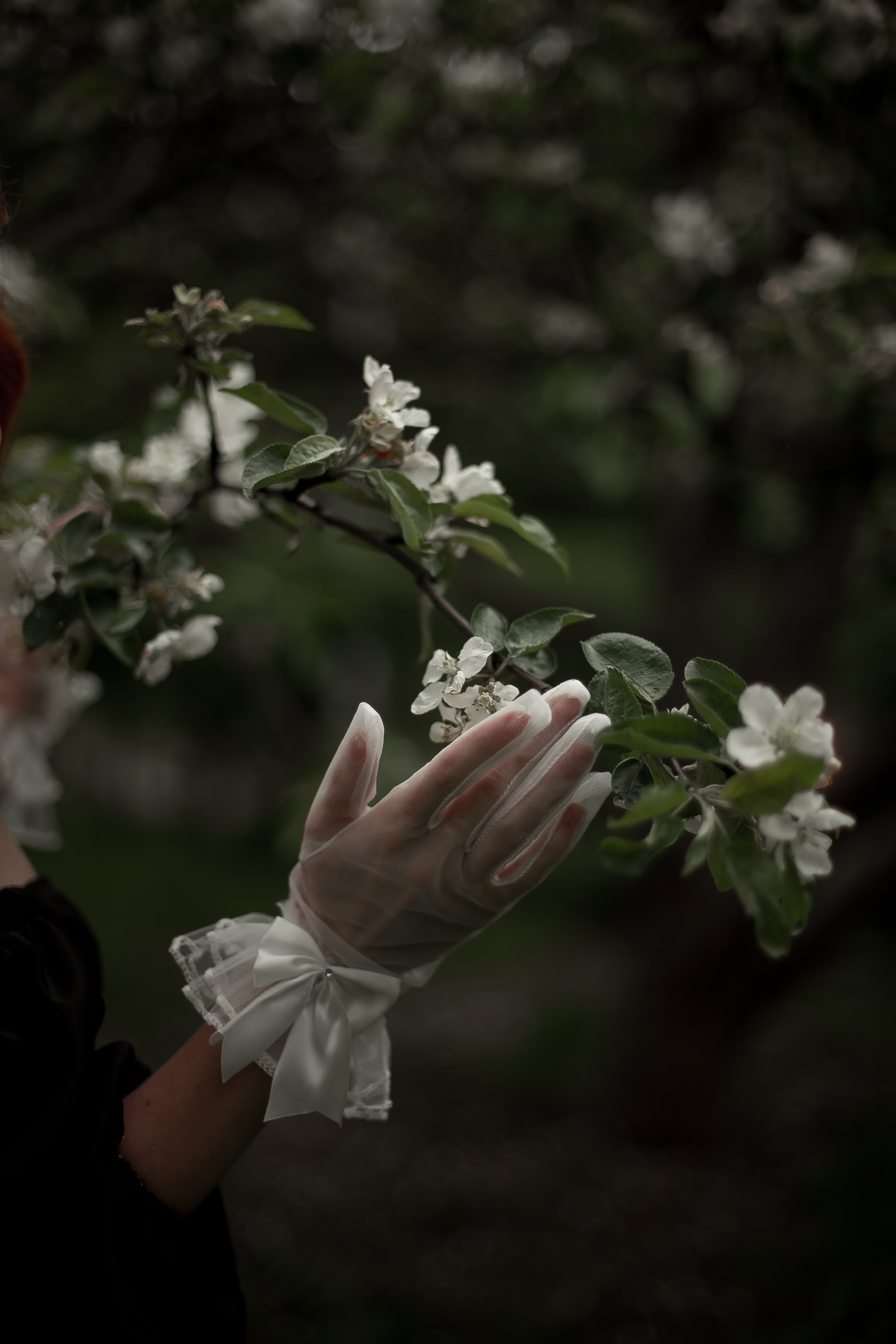 Ксения, Майское цветение. Фотограф