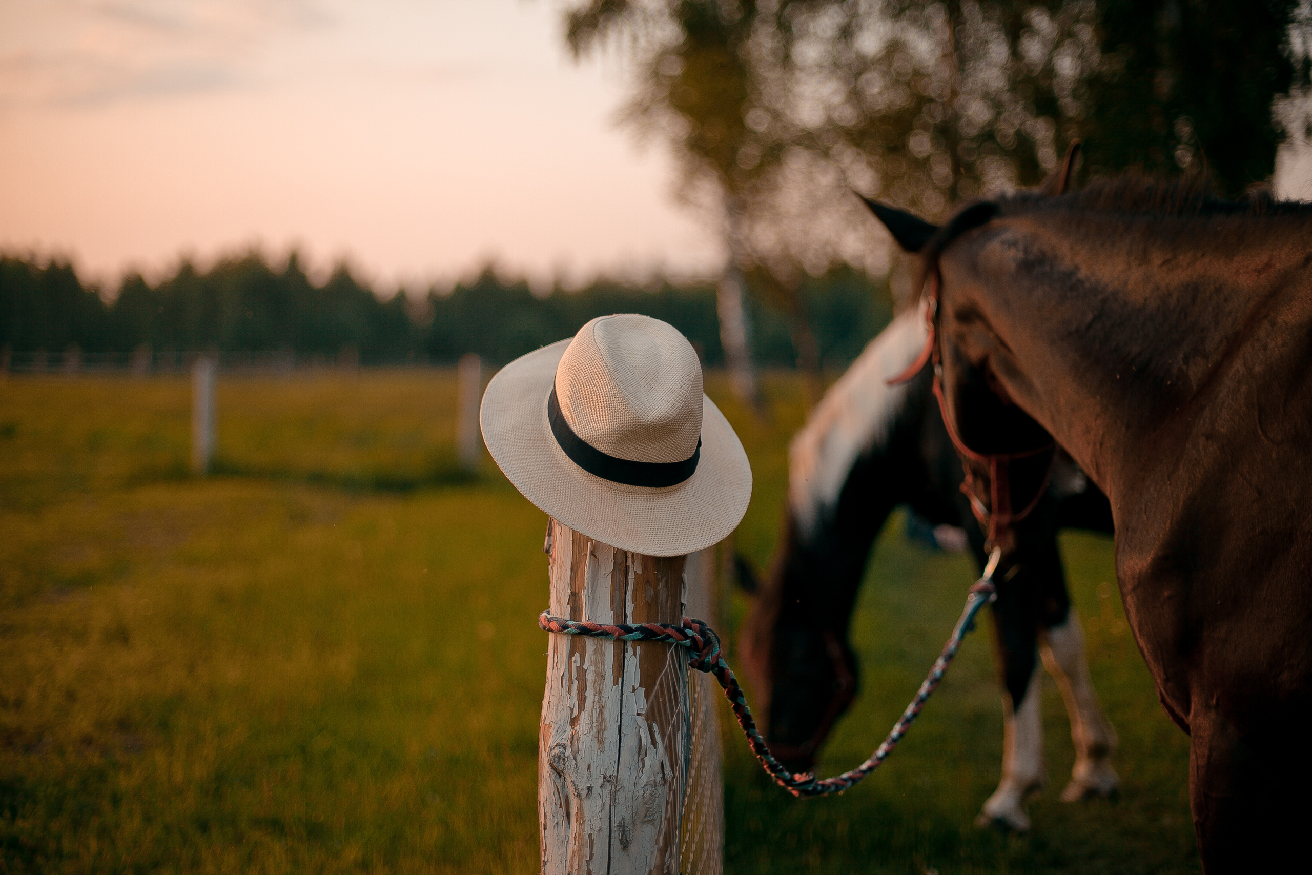 Альберт и Анна. В ожидании чуда. Фотограф