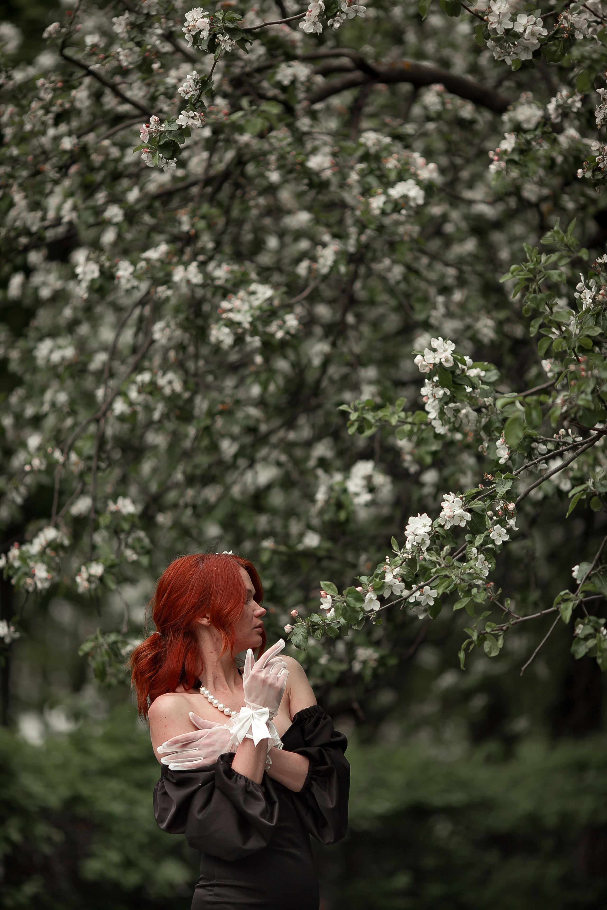 Ксения, Майское цветение. Фотограф