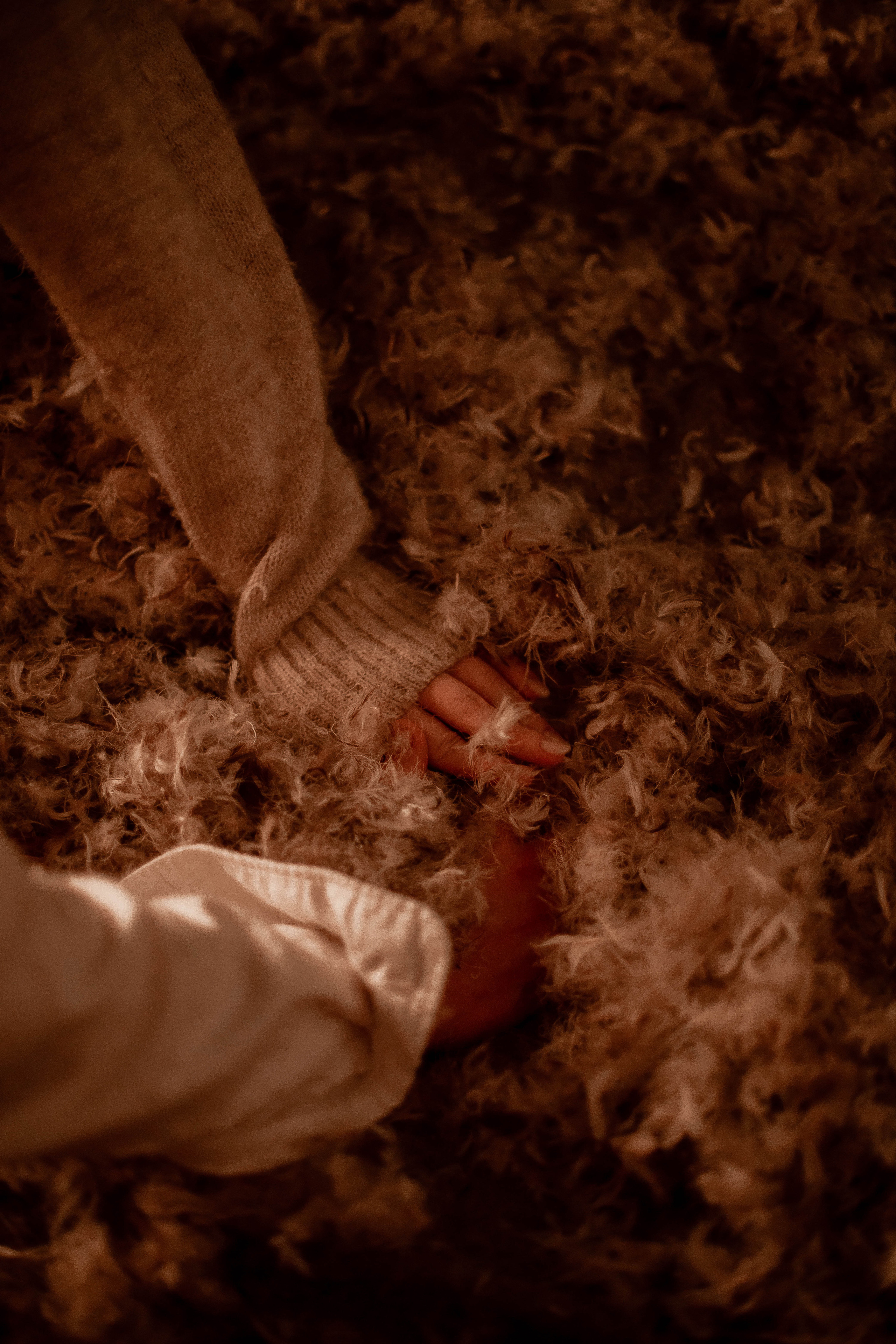 Татьяна и Богдан. Фотограф