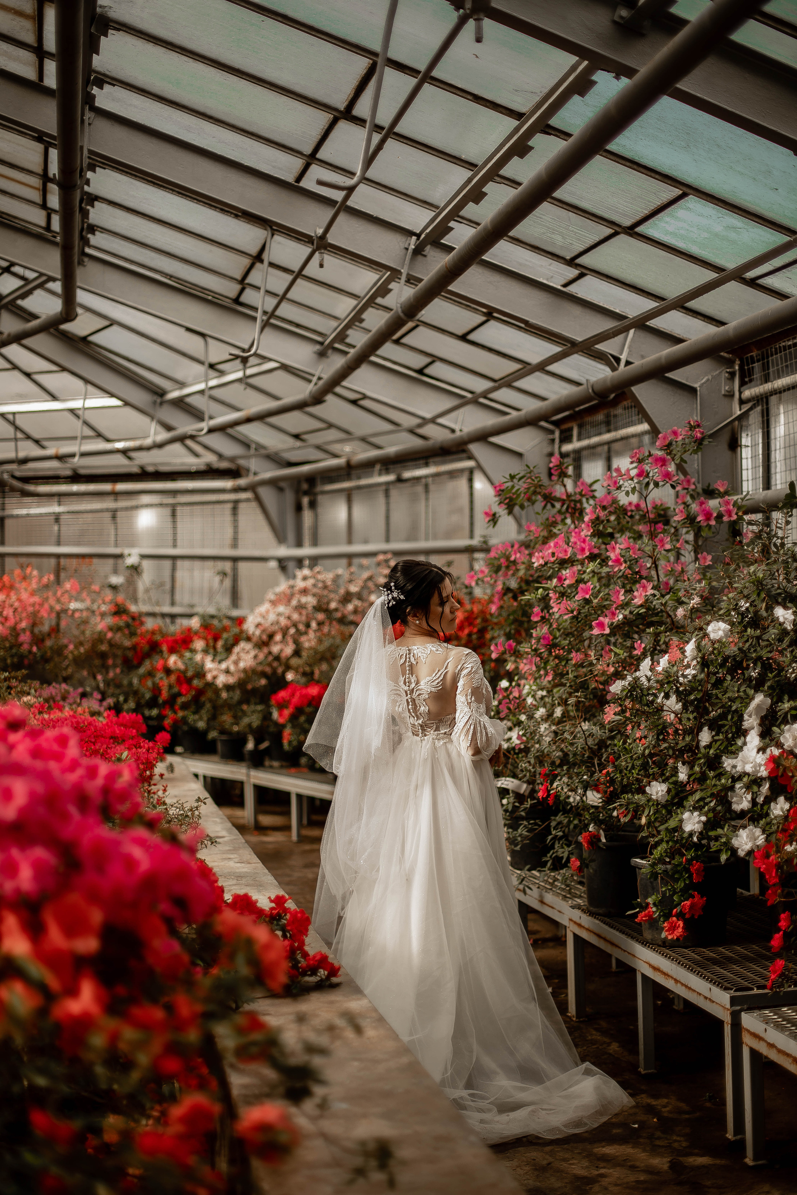 Даниил и Анастасия. Фотограф