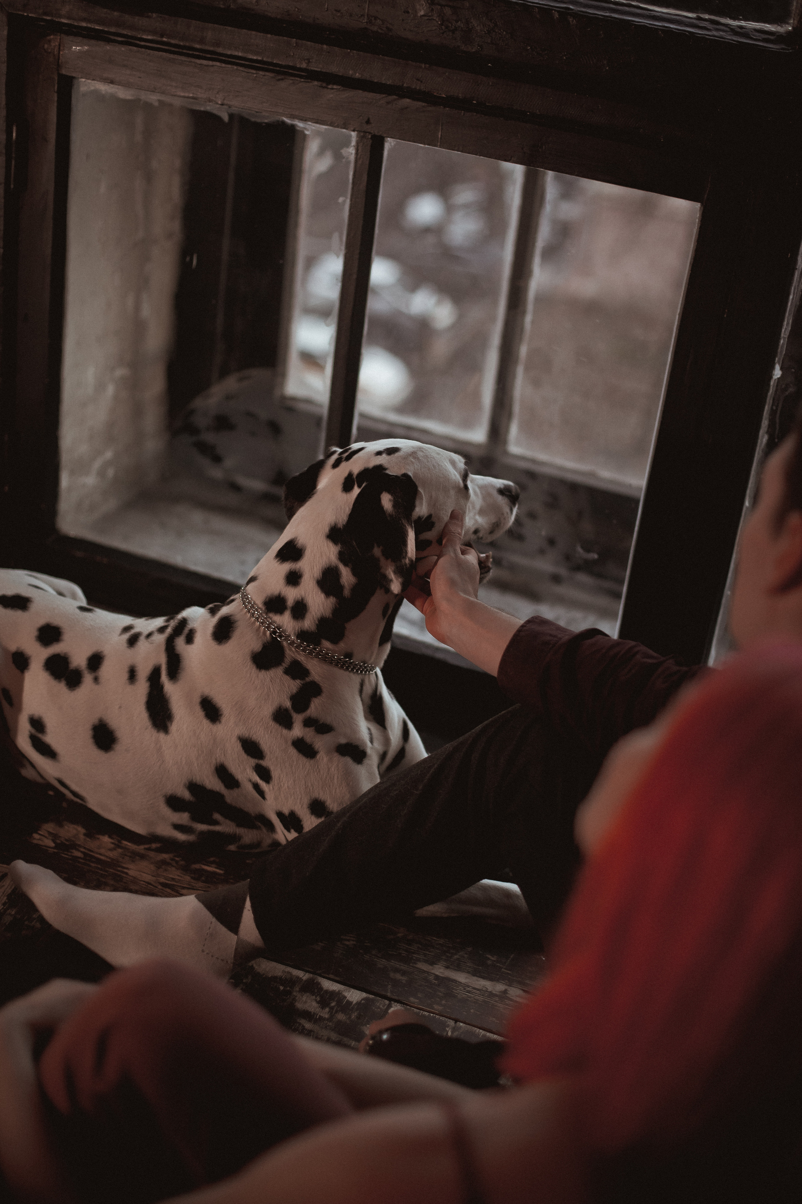 Сергей и Полина. Фотограф