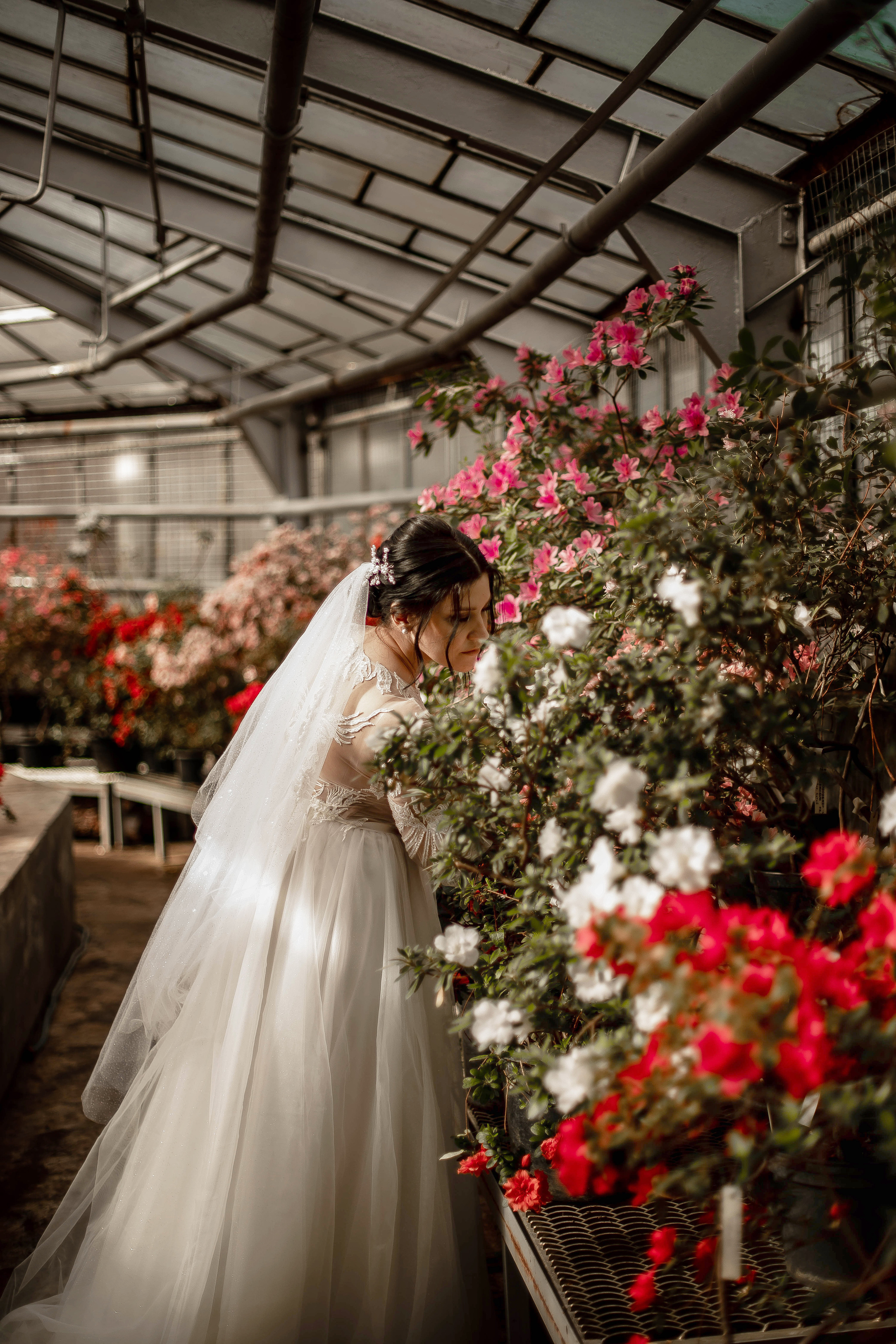 Даниил и Анастасия. Фотограф