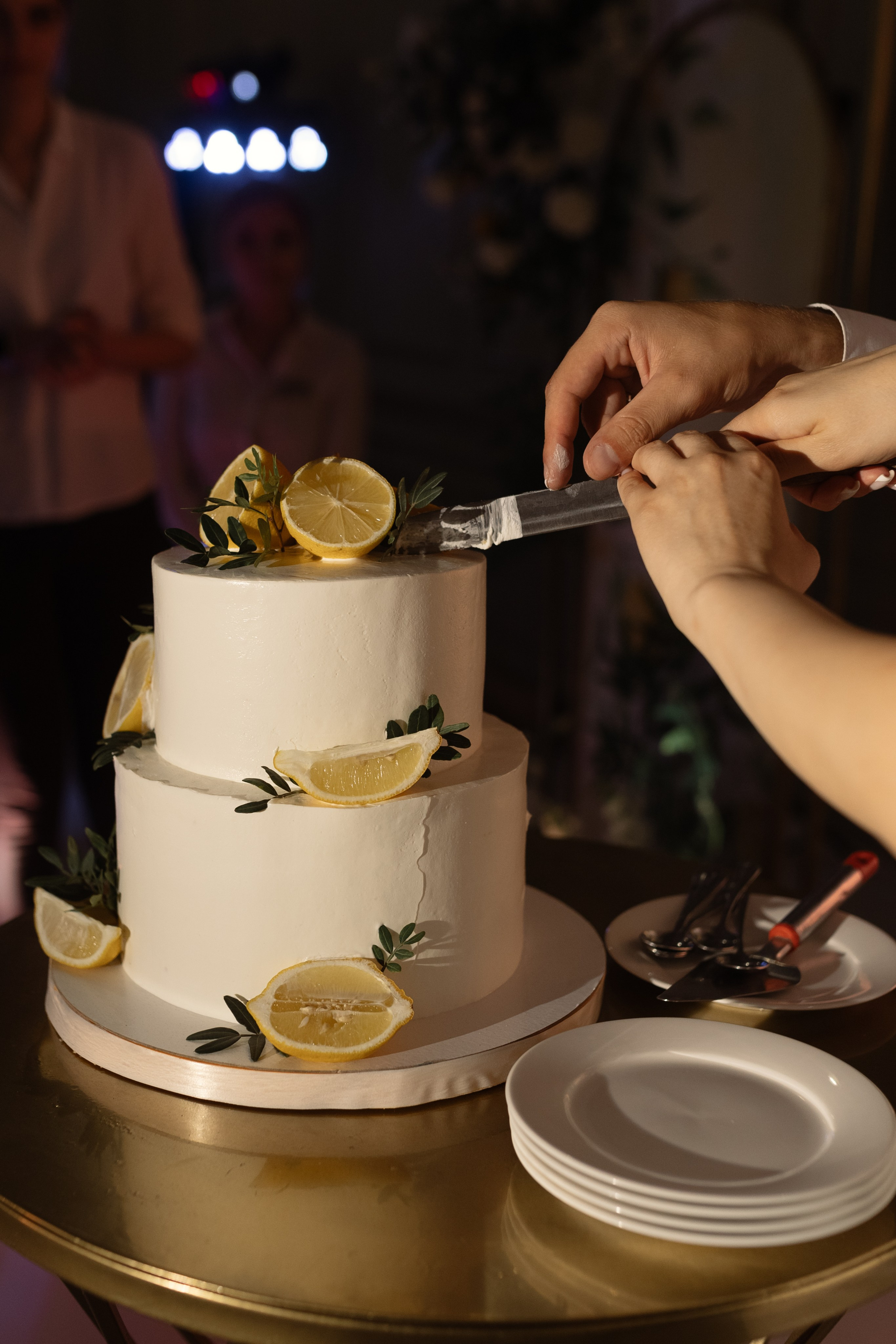 Дарья и Максим. Свадебный фотограф Курск Максим Ноздрачев