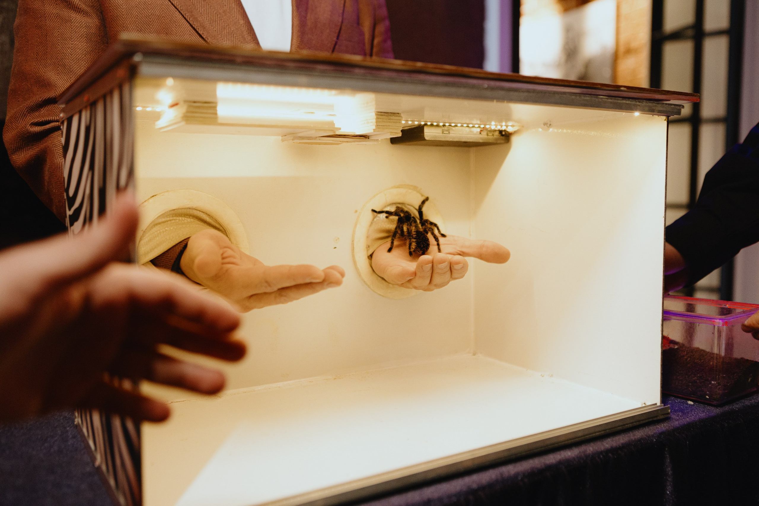 Эрик и Азима. LEVORIGINAL