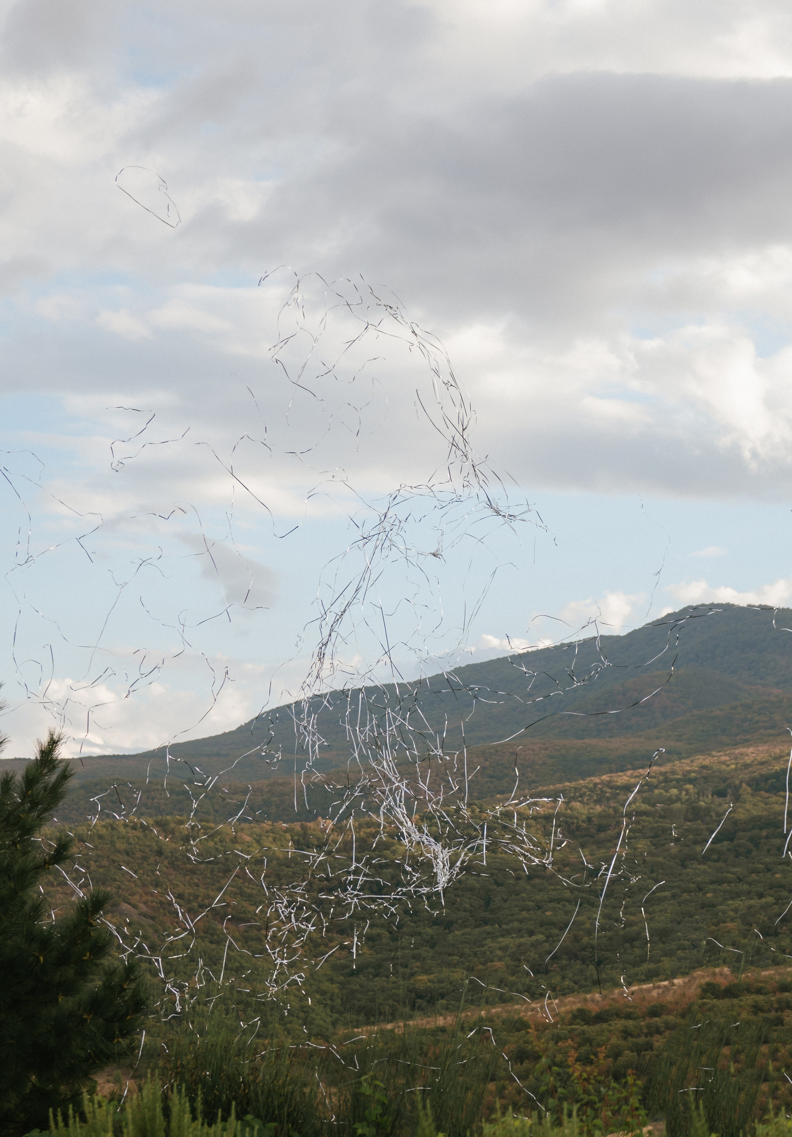 Никита и Настя (Серебряное озеро). Свадебный, женский, семейный фотограф в Севастополе Юлия Мошенко