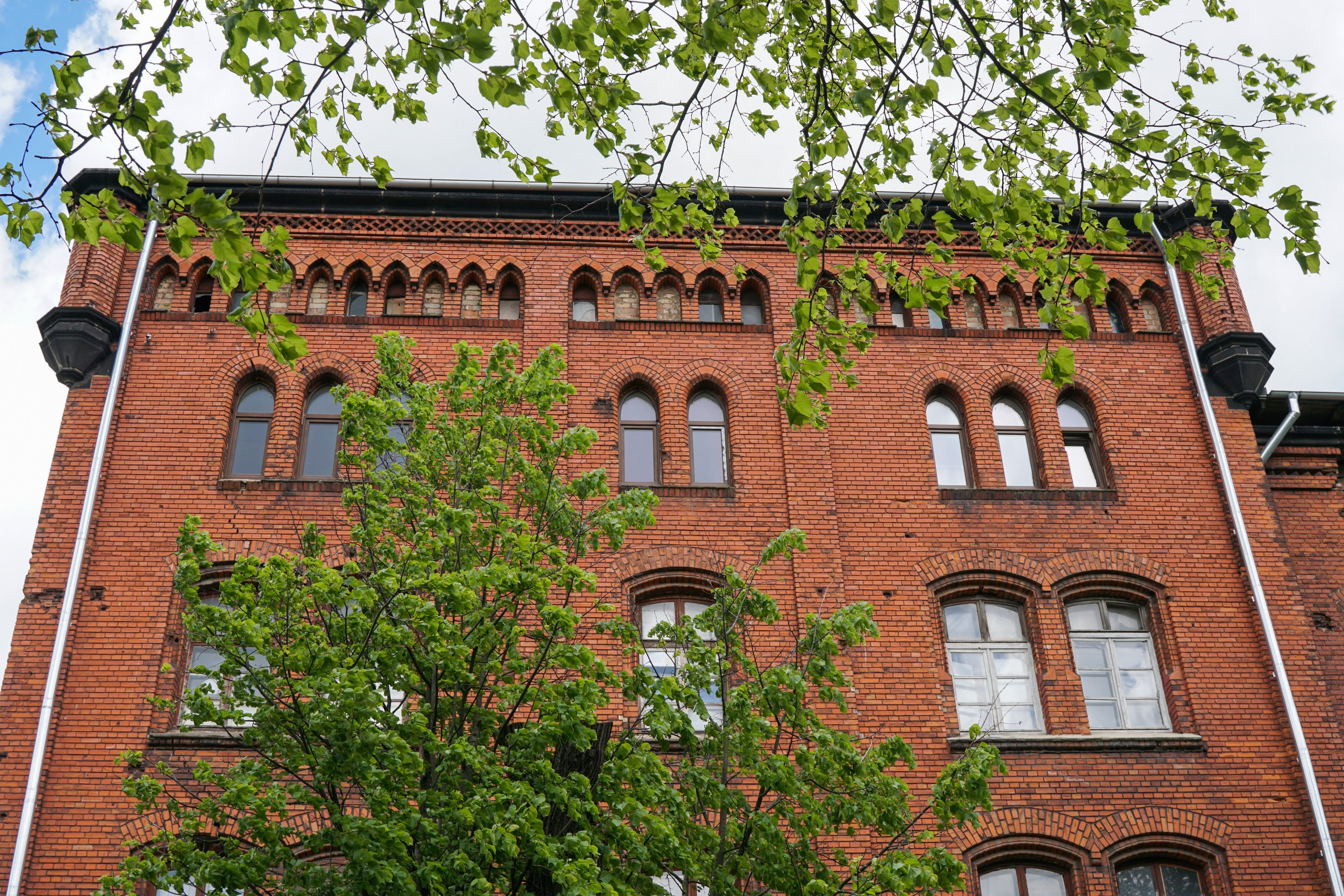 СОВЕТСК, ЧЕРНЯХОВСК. Фотограф Наталья Погодина в г. Обнинске