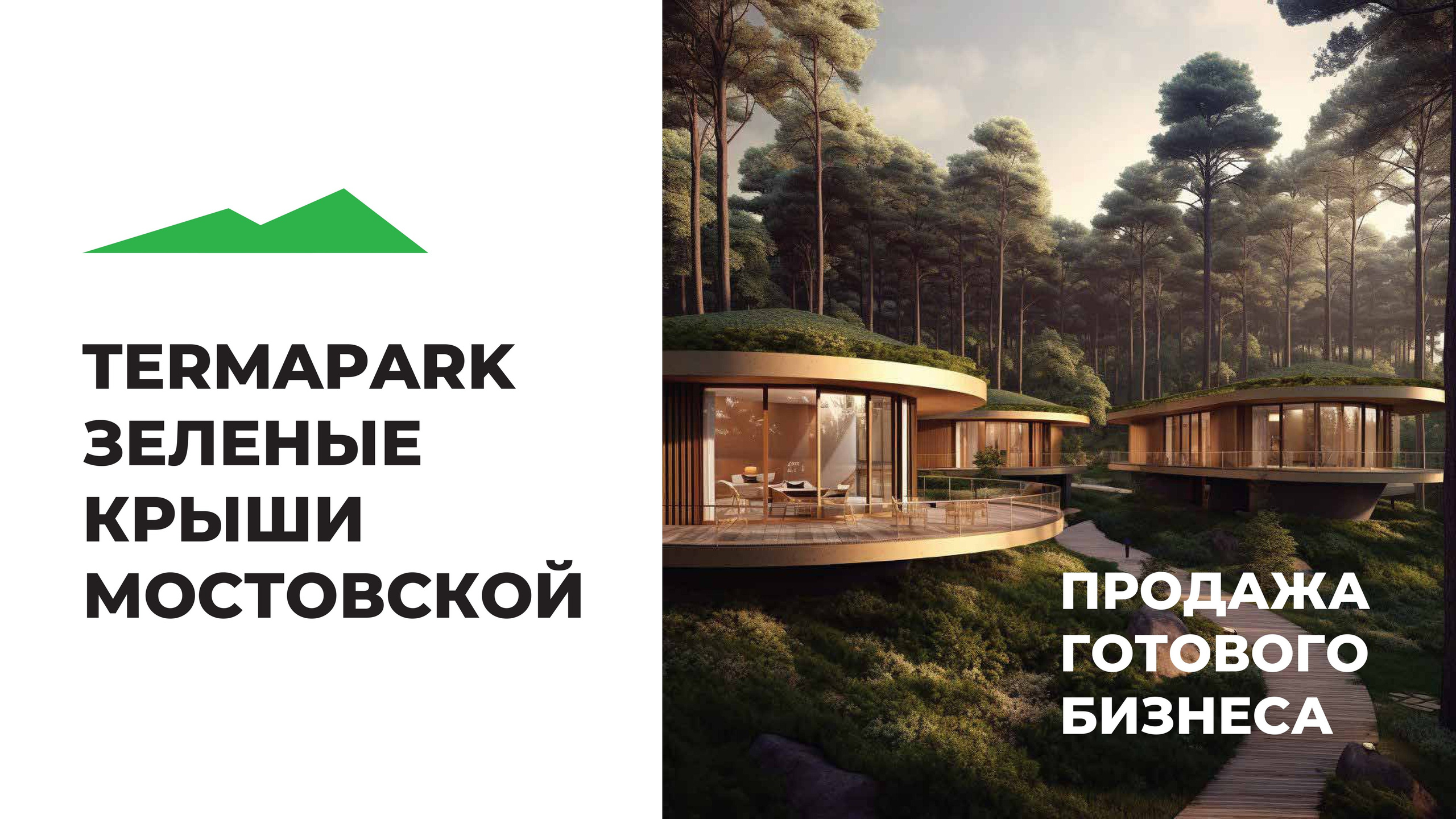 Термальный комплекс. Инвестиционный консалтинг Недвижимость