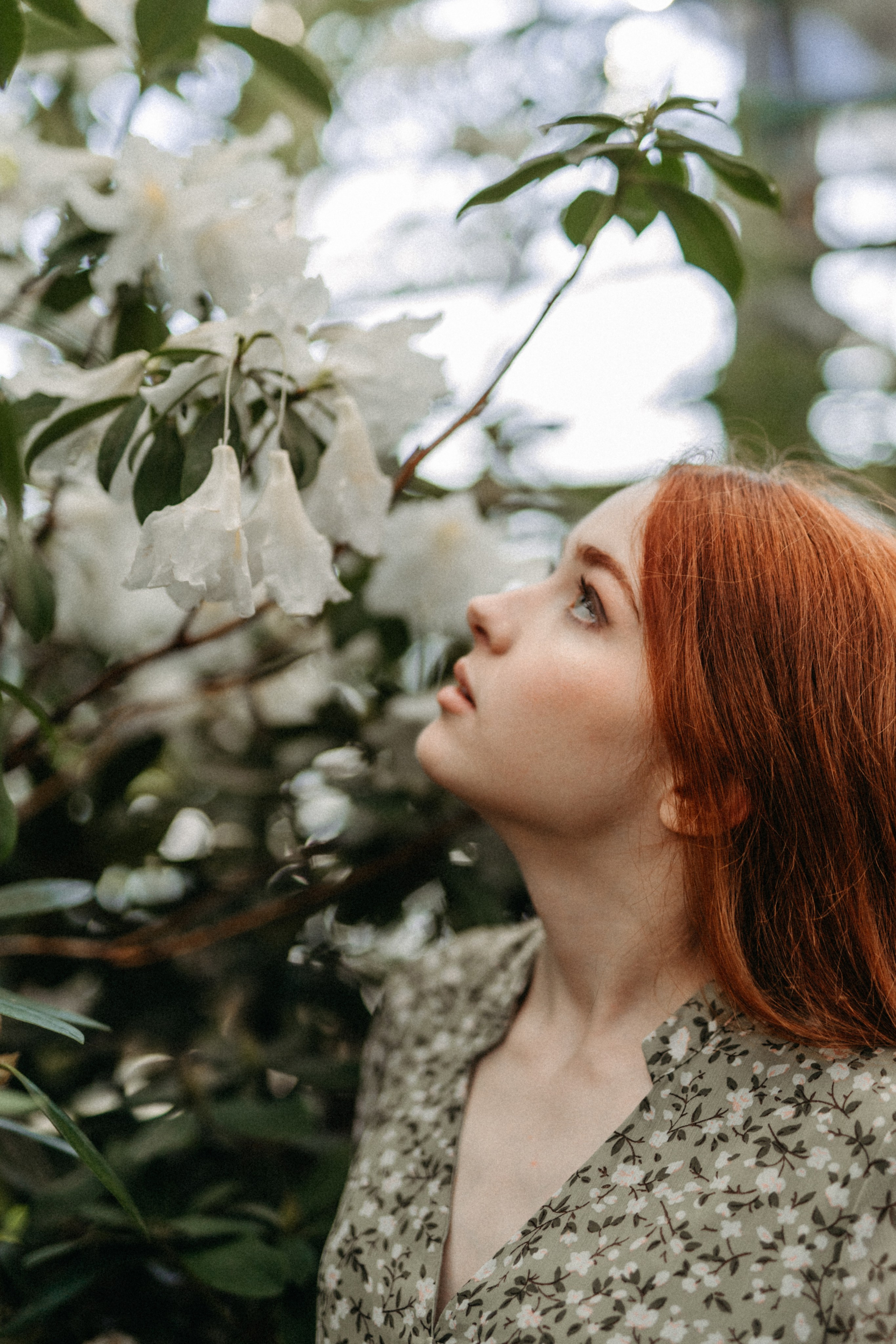 Там, где круглый год весна. Фотограф Наталья Колганова