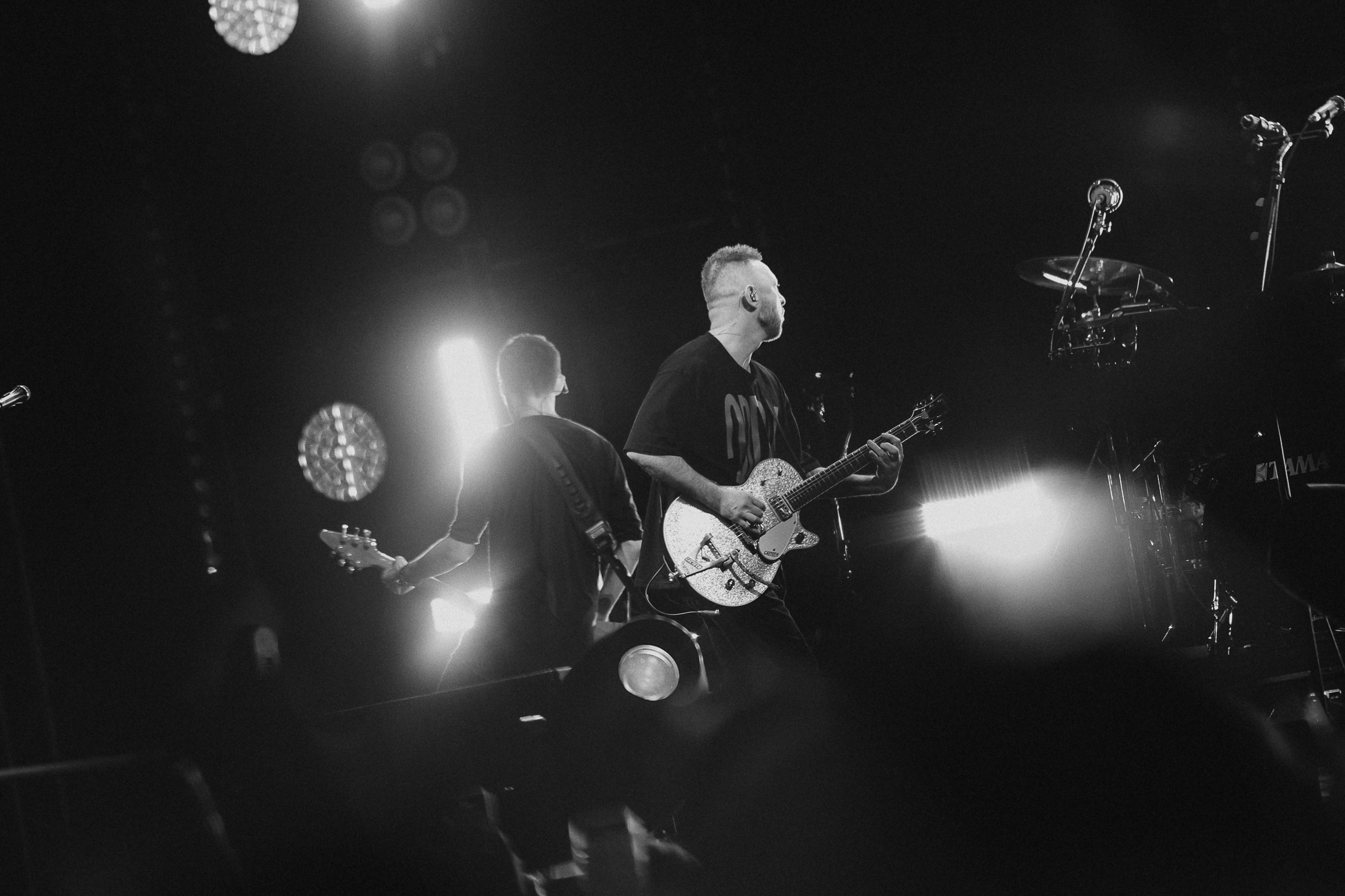 Звери 2025. Репортажный фотограф в Кемерово