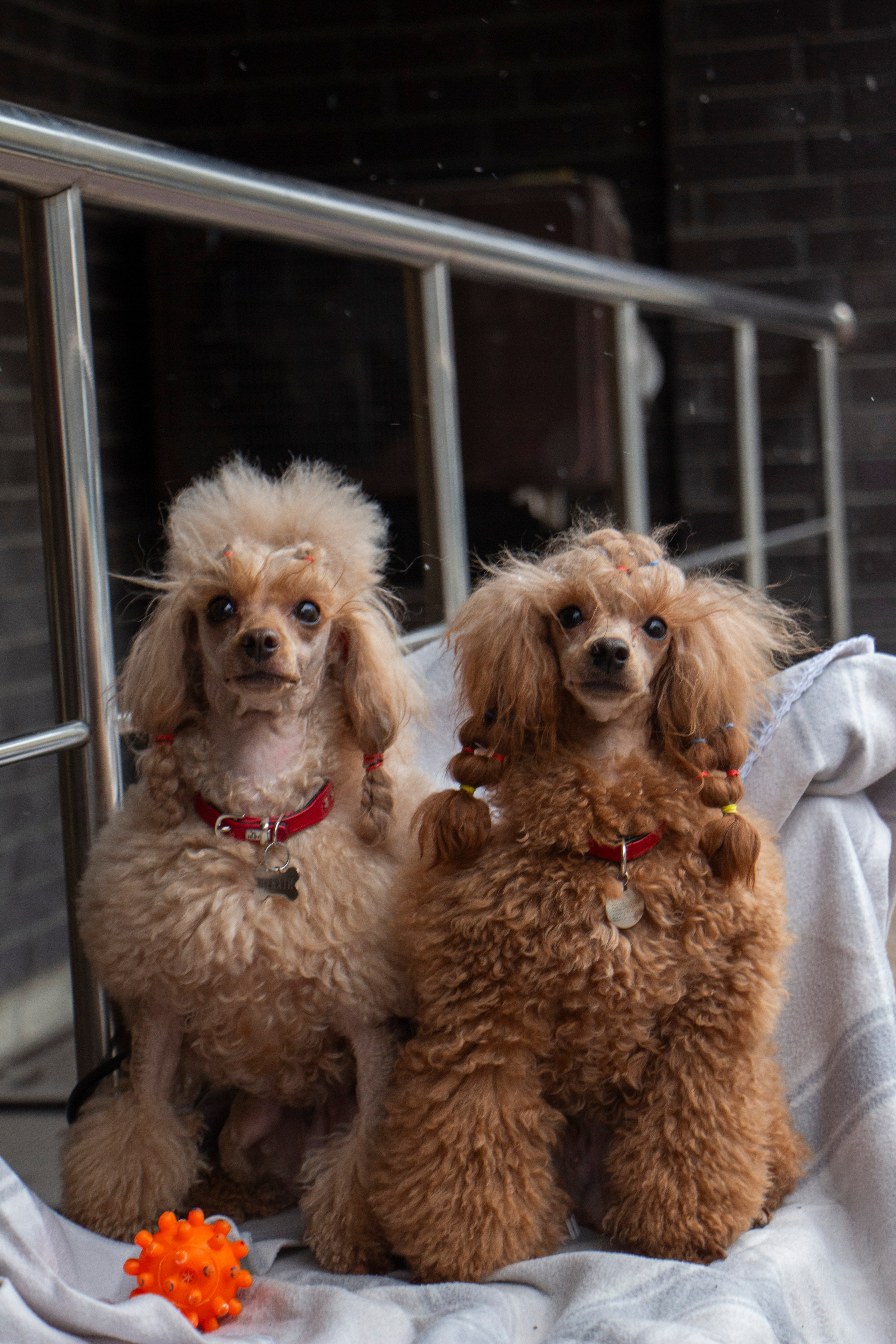 Основное портфолио