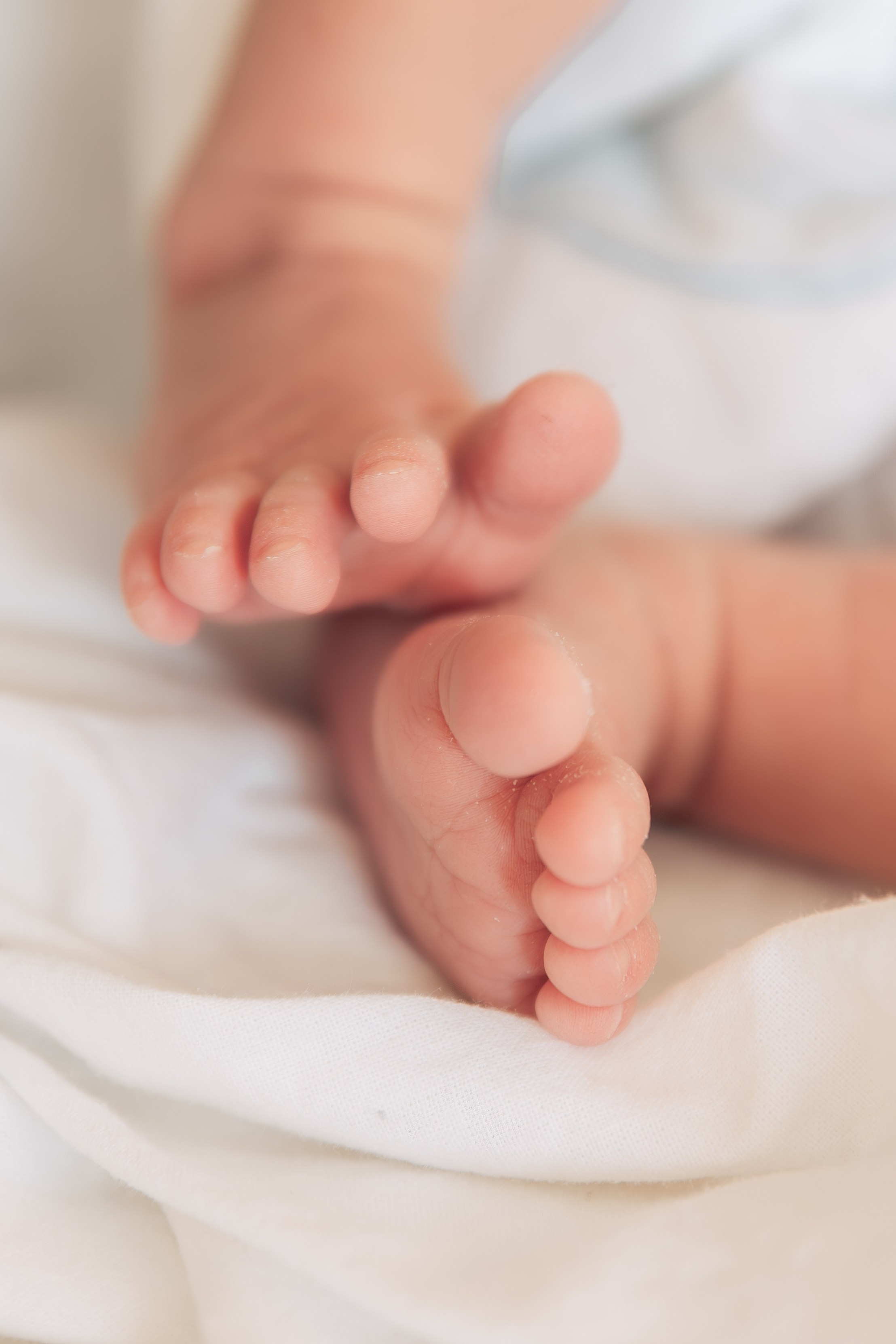 Выписка из ОПЦ