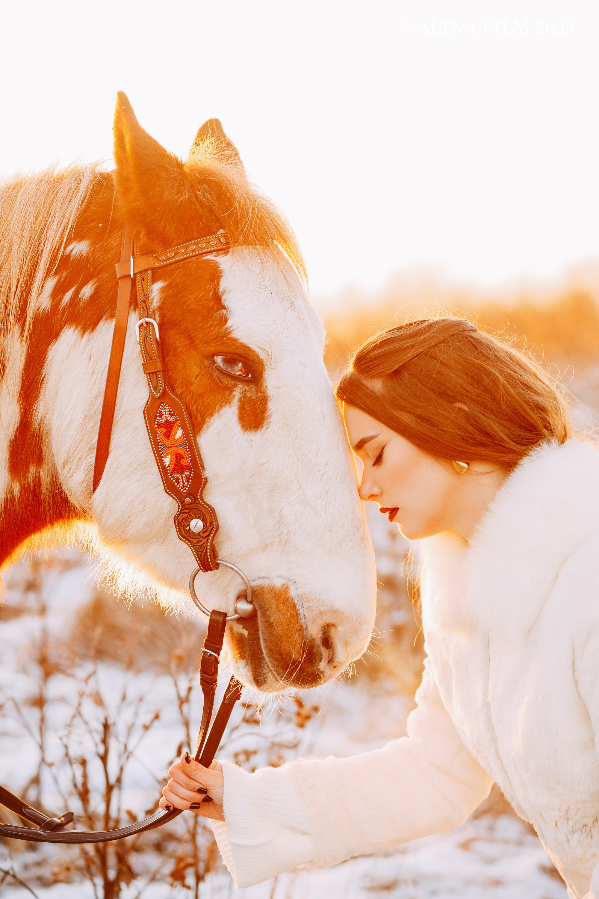 Фотосессия с лошадью. Фотограф в Санкт-Петербурге Alina Film