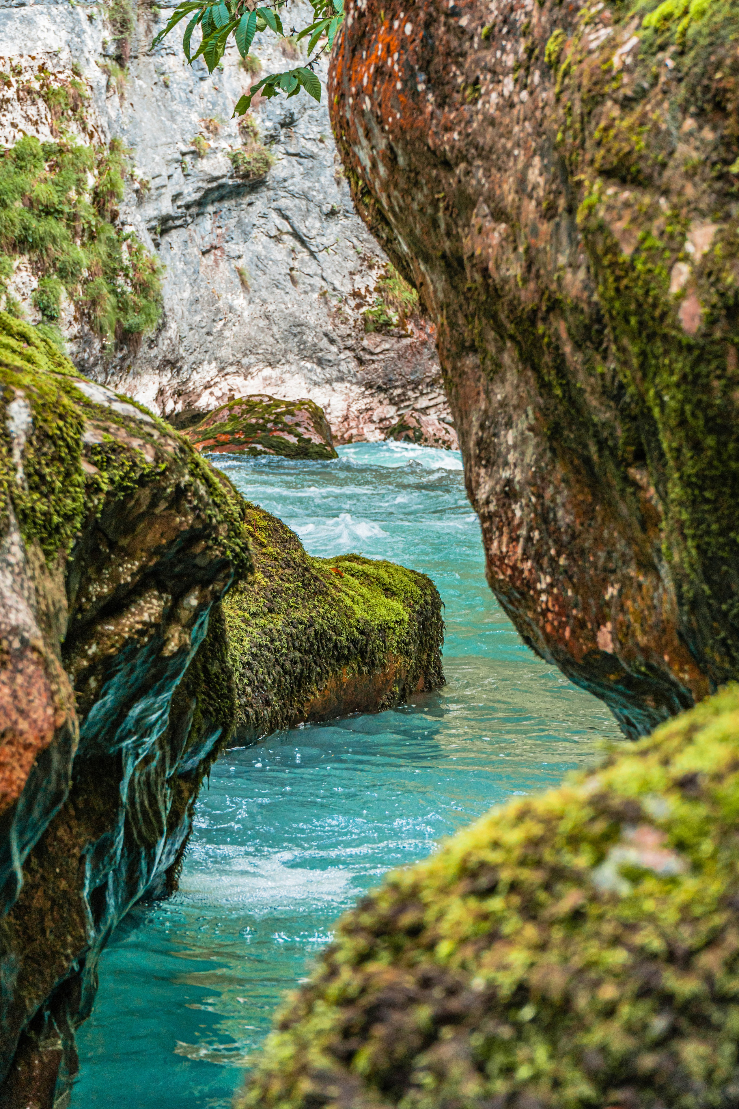 Натура. Владислав Кожух | Фотограф | Видеограф | Режиссёр