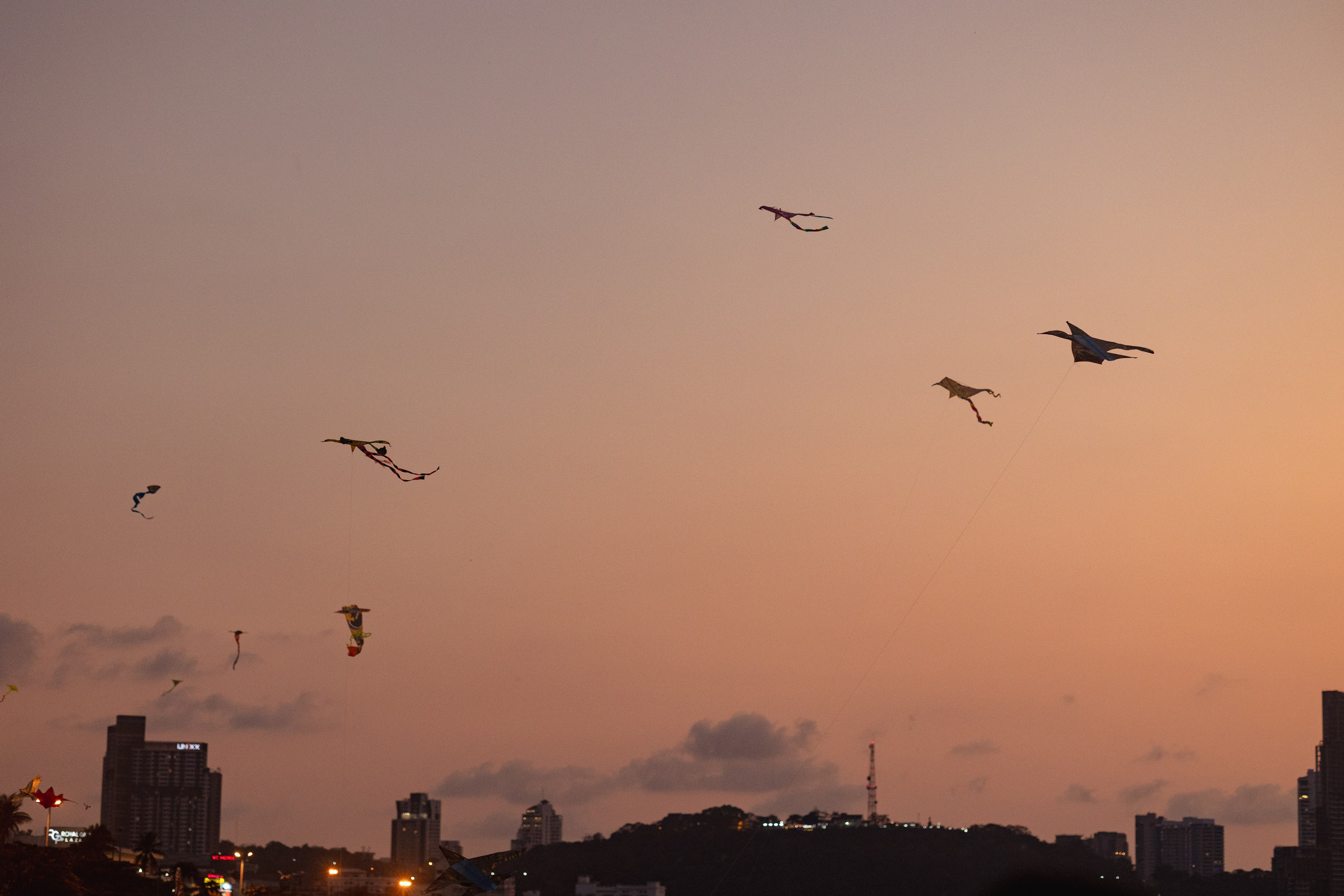 PATTAYA INTERNATIONAL KITE ON THE BEACH 2024. Photographer Sonkina Tatiana (Tanya Ash)