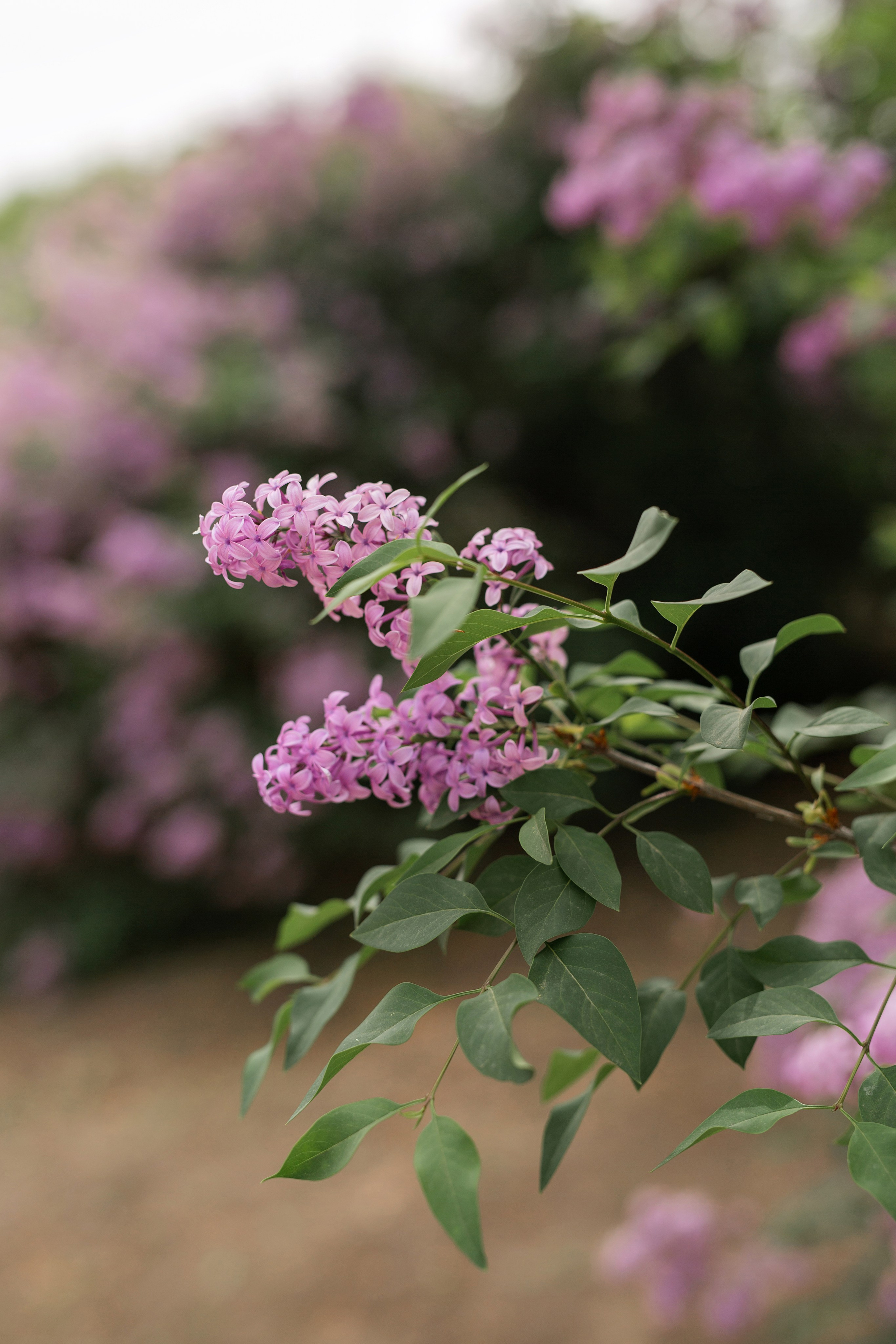Настя и Влад. Семейный фотограф в Каневской Епифанова Ольга