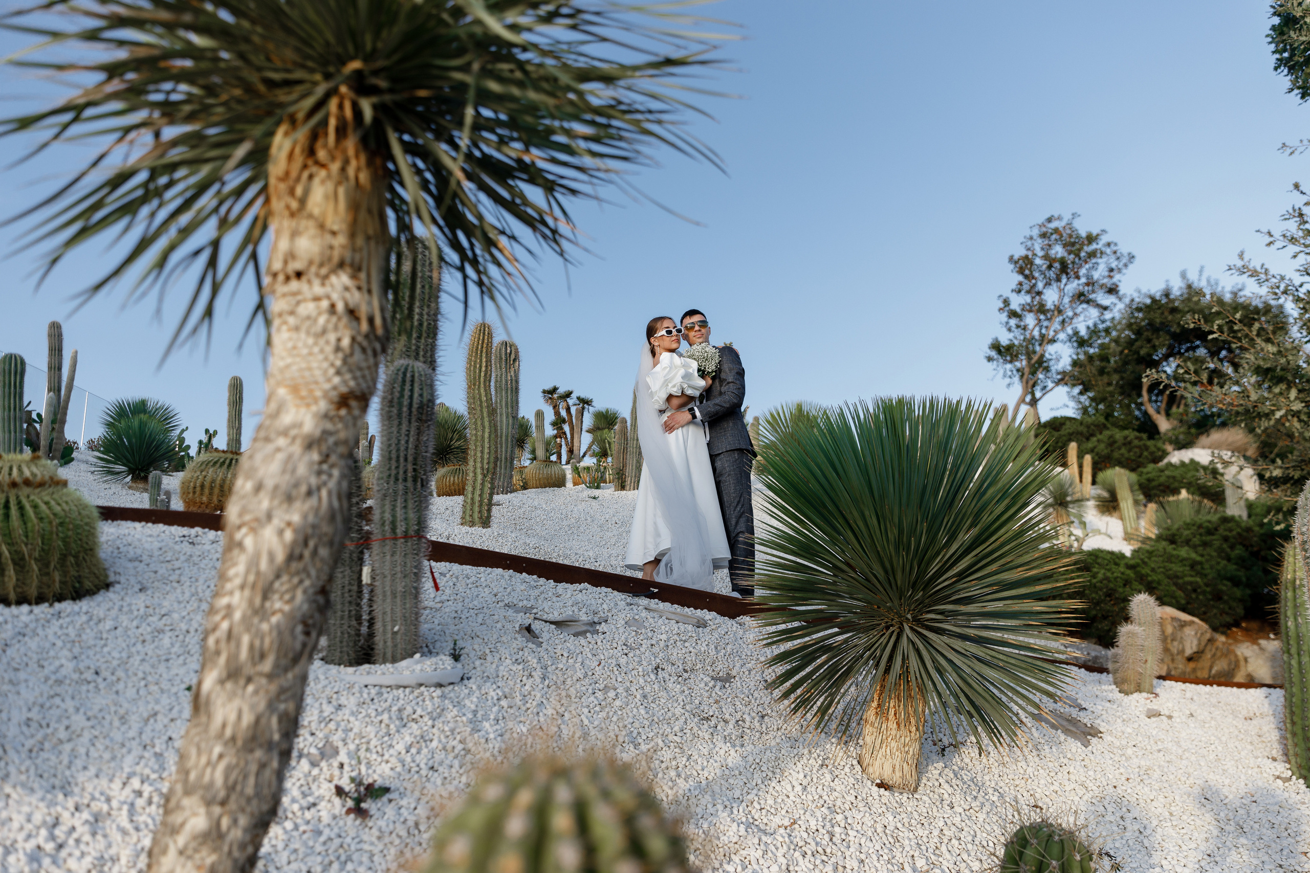 Винный парк, отель Мрия. Анонс свадьбы Юлии и Евгения. Свадебный фотограф в Крыму и Севастополе Ольга Баскакова