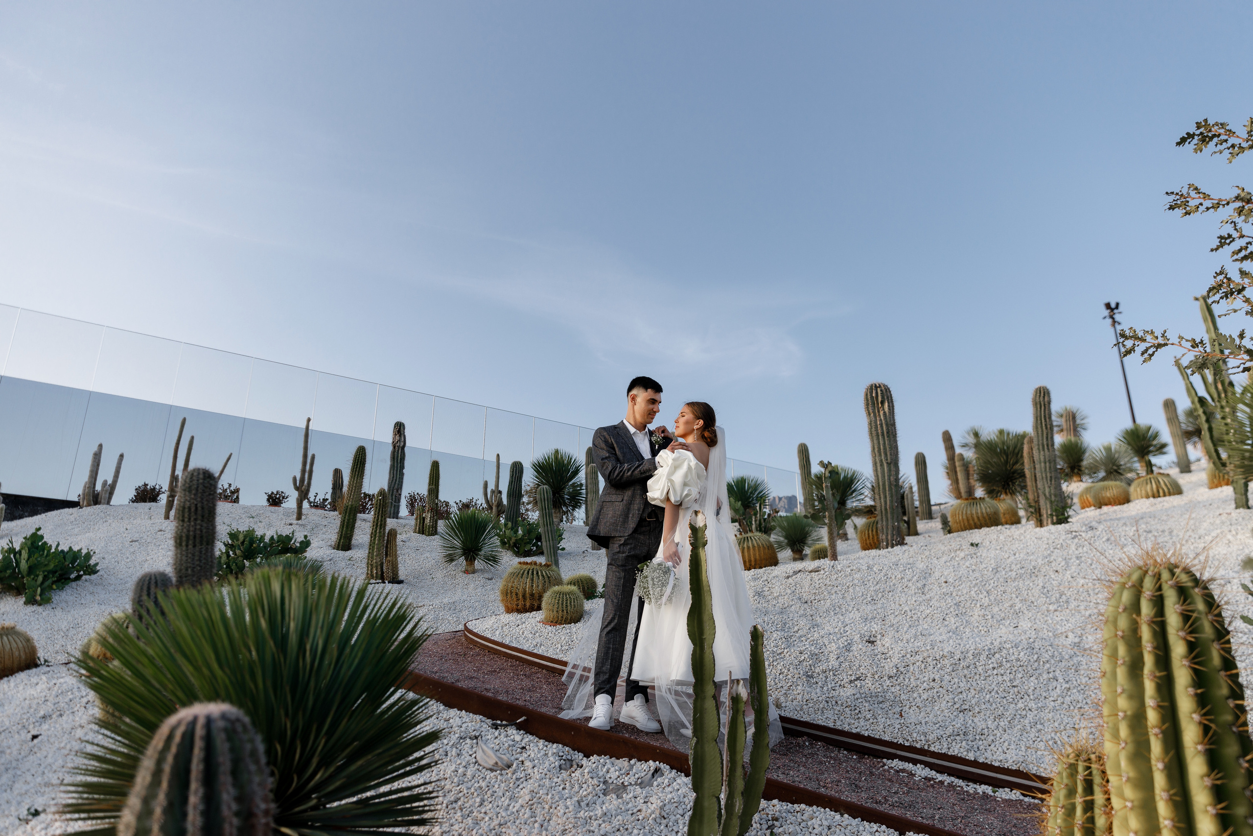 Винный парк, отель Мрия. Анонс свадьбы Юлии и Евгения. Свадебный фотограф в Крыму и Севастополе Ольга Баскакова