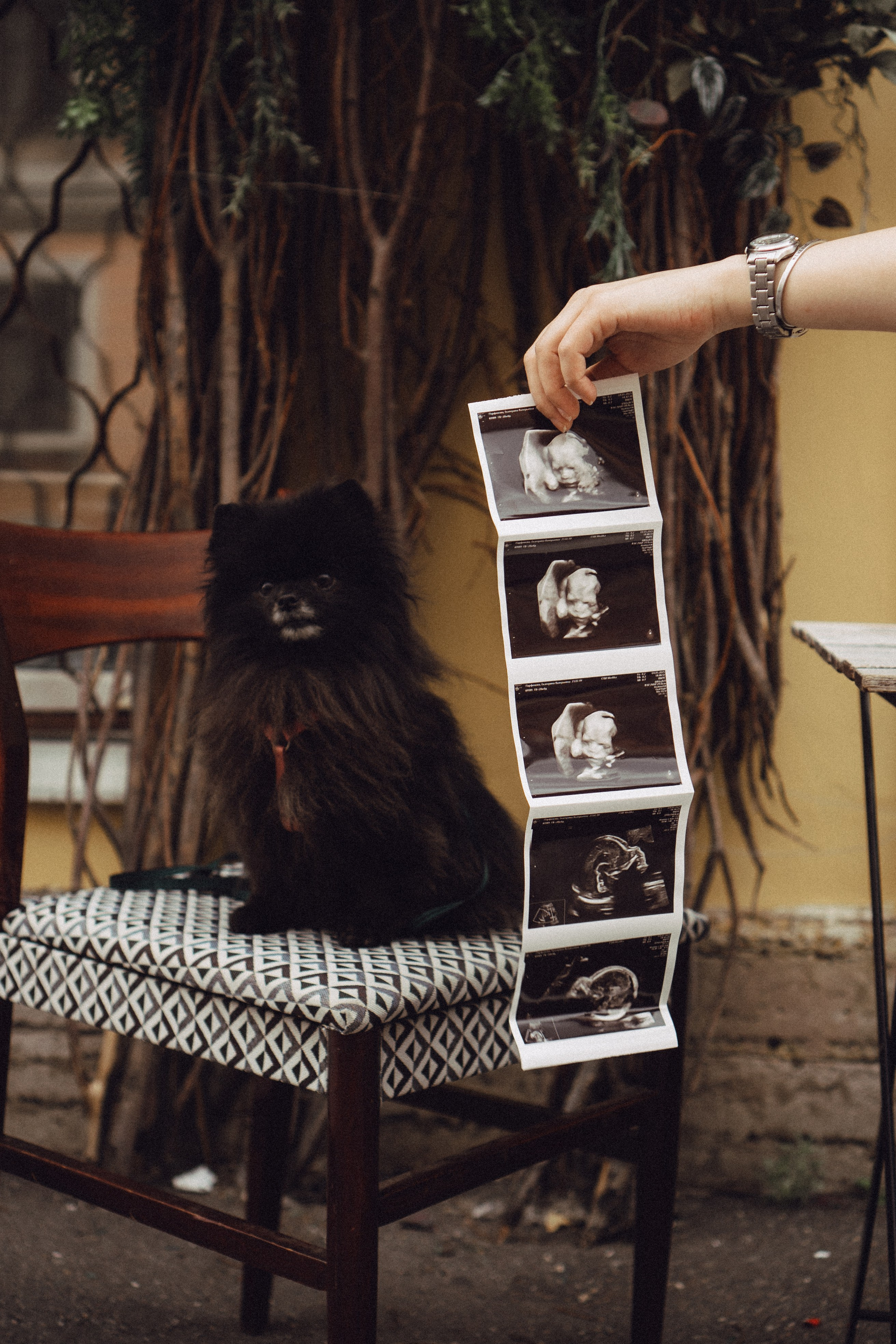 Беременность (только часть фото по желанию клиентов могу показать)). Профессиональный фотограф, Санкт-Петербург — Виктория Богомолова