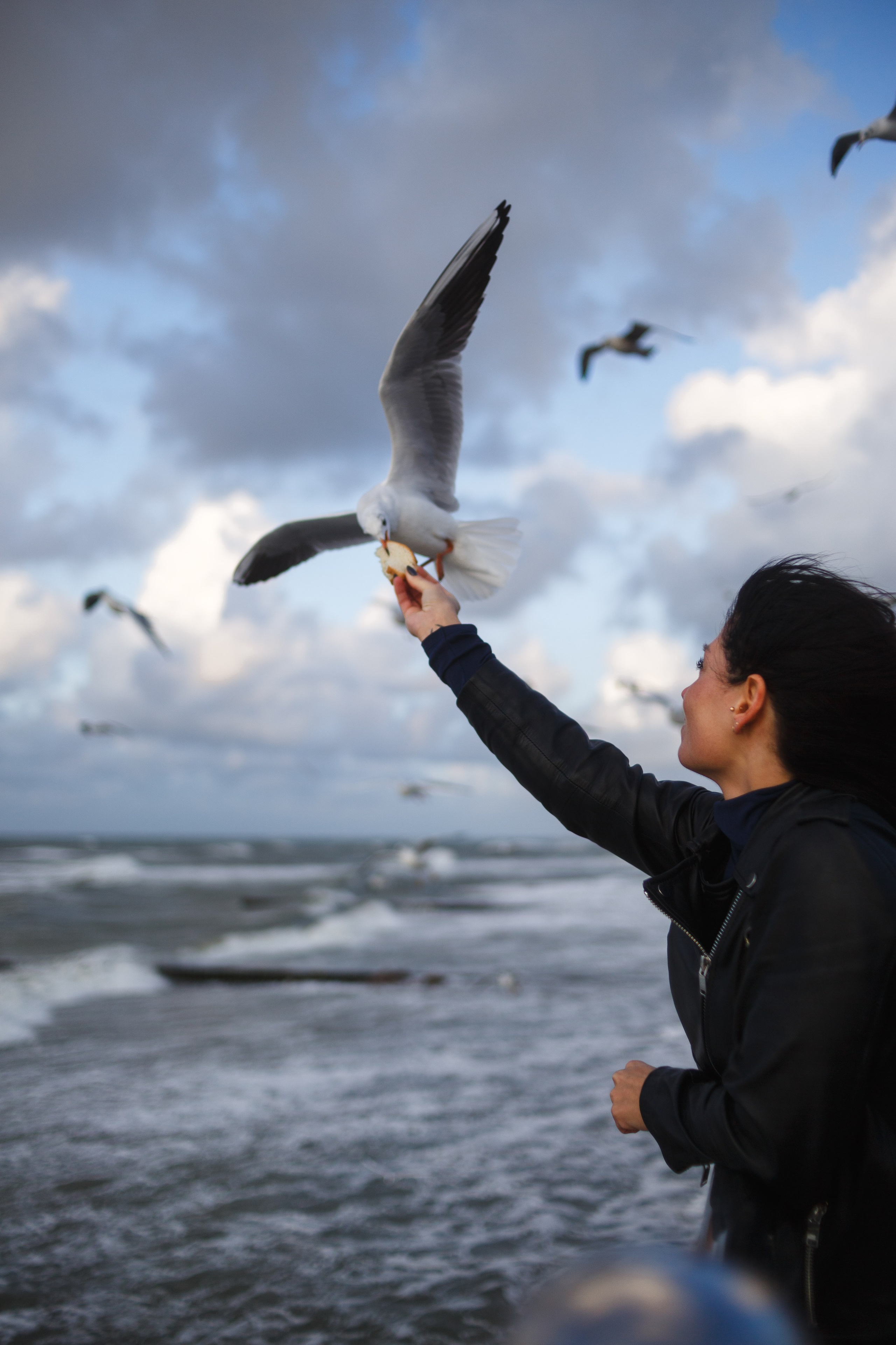 Konigsberg. Photographer Vadim Cheprasov | Saint-Petersburg