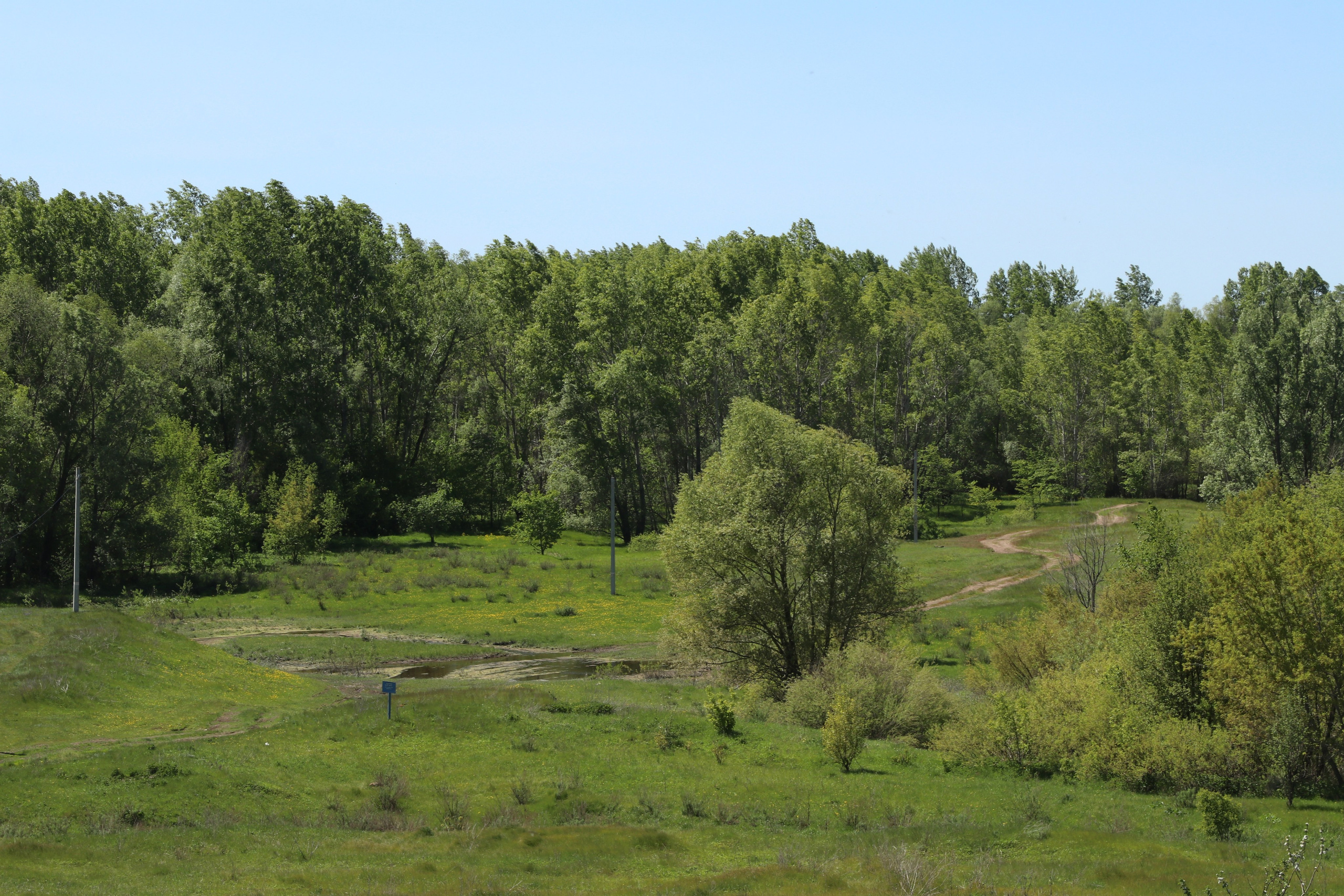 Велопоход Уфа — Мелеуз. Май 2024. Путешественник-фотограф из Санкт-Петербурга Татьяна Свистулина