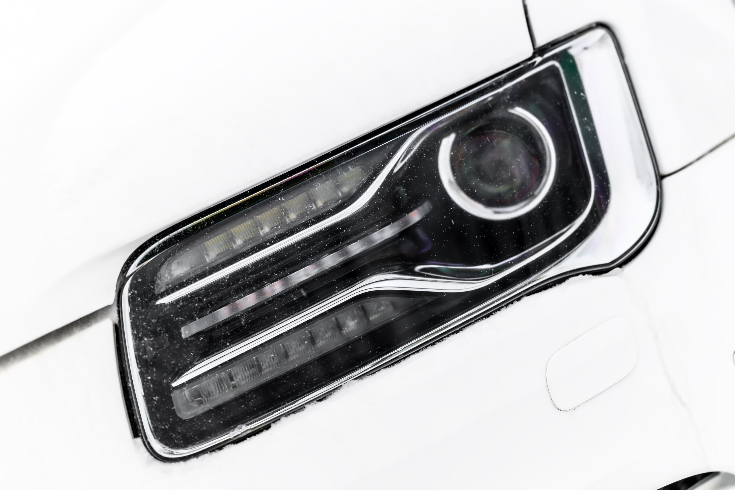 Кастом Особого Назначения 2026. Авто и мотоспорт — фотограф Антон Медведев iCoguar