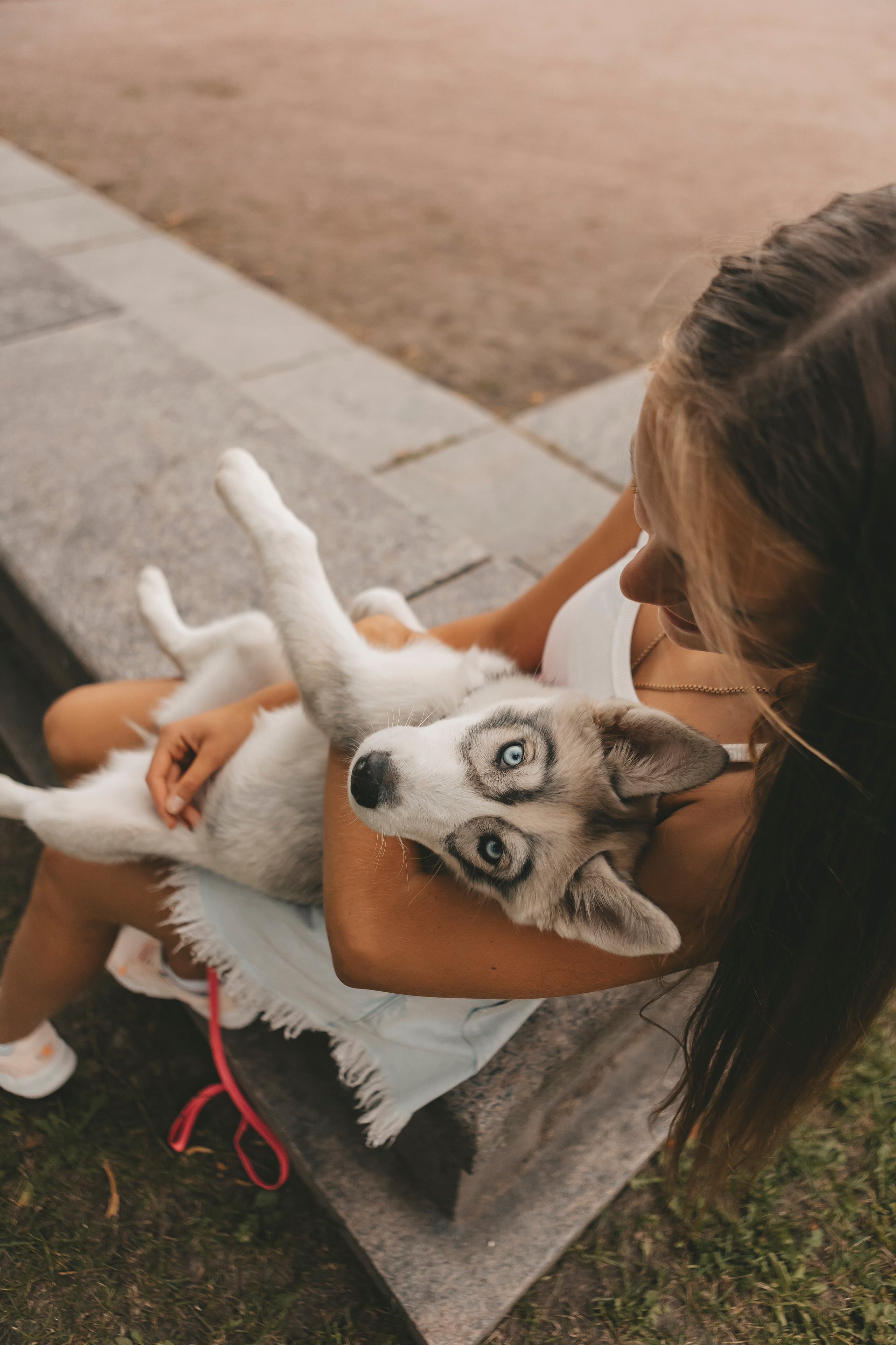 Милана и Белка. Фотограф-анималист в Санкт-Петербурге Алина Яхонт