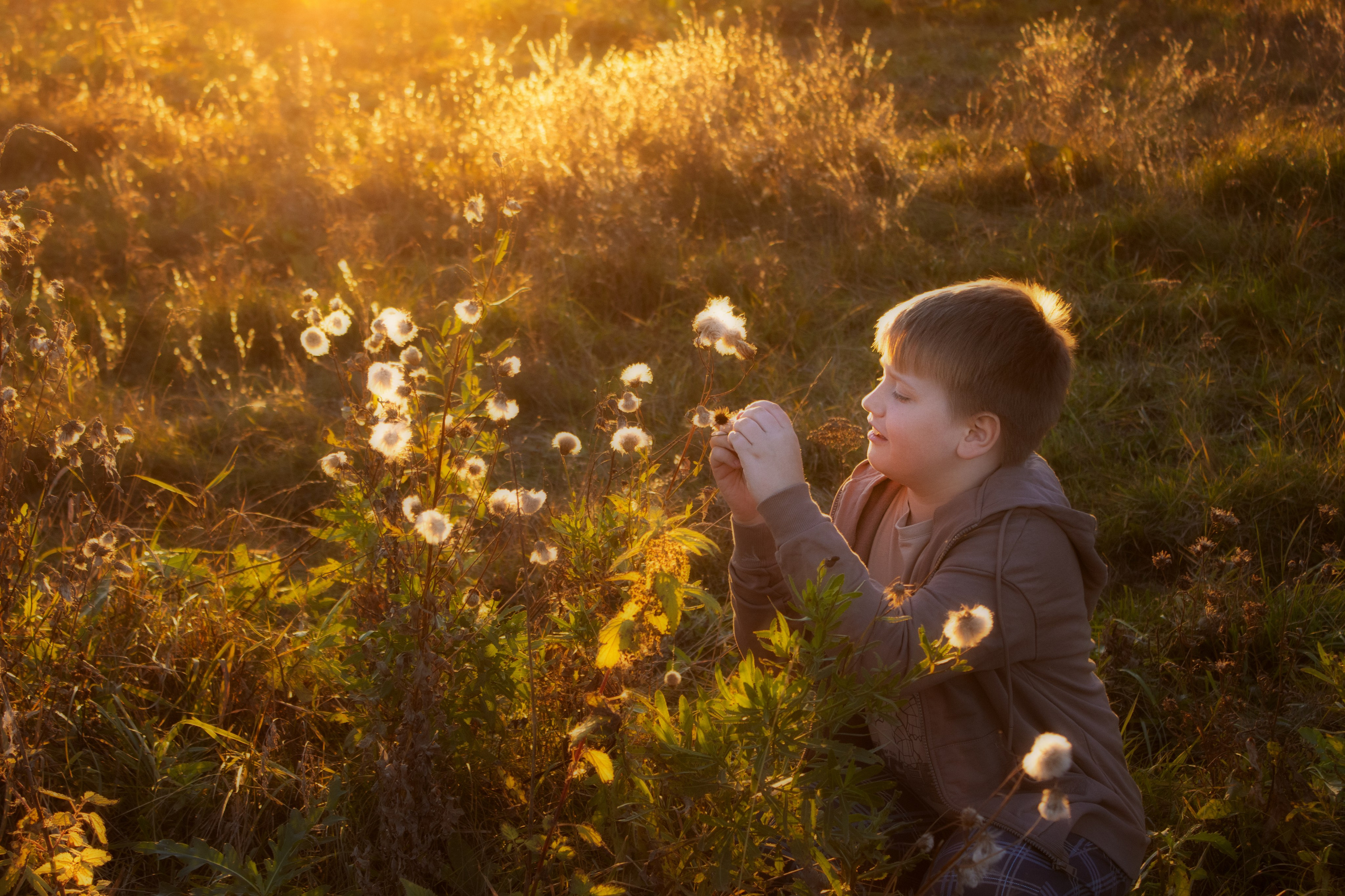 Портфолио. Семейная фотосессия в Новосибирске