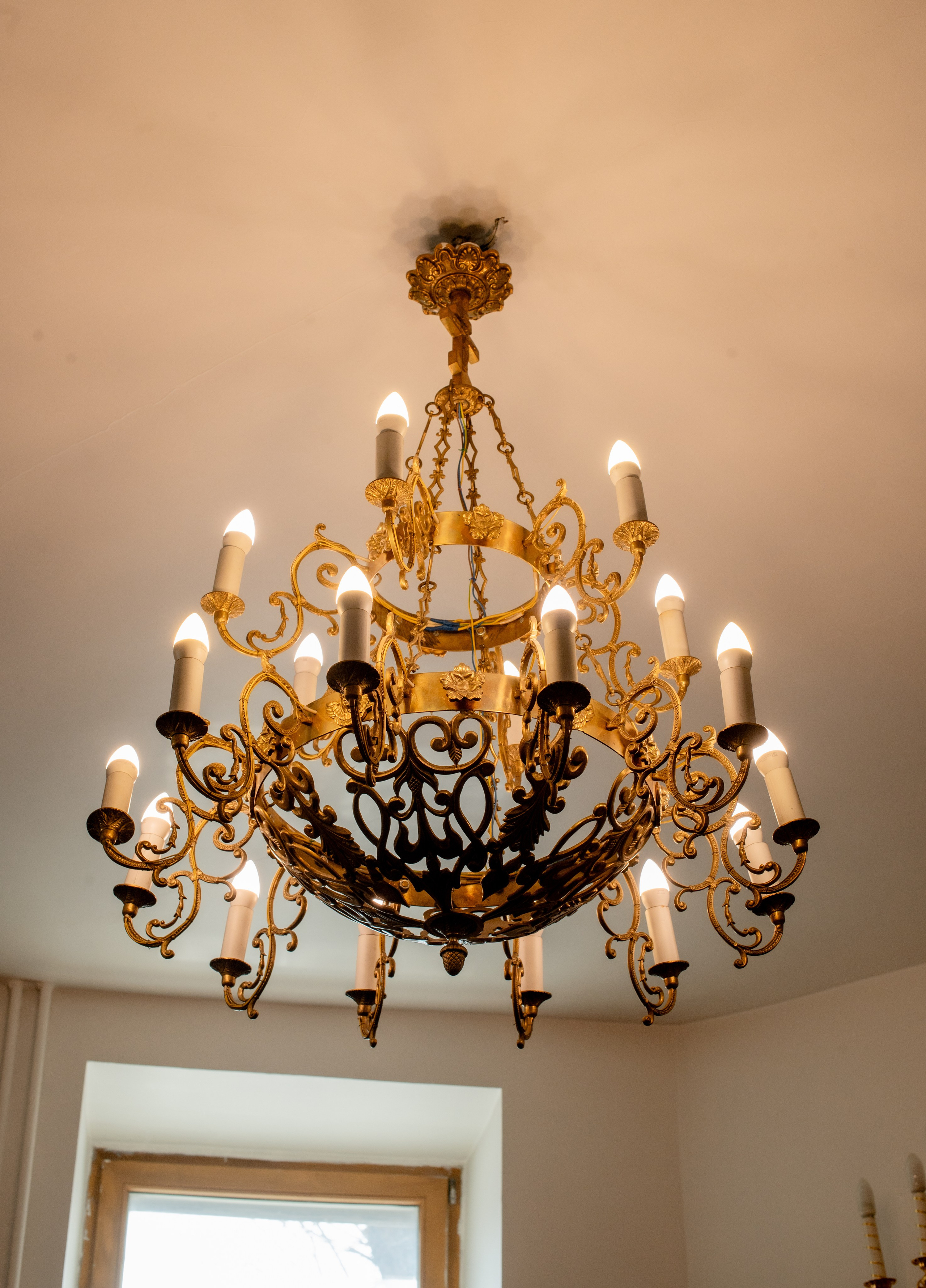 Лимончик. Фотограф Виктория Воронина