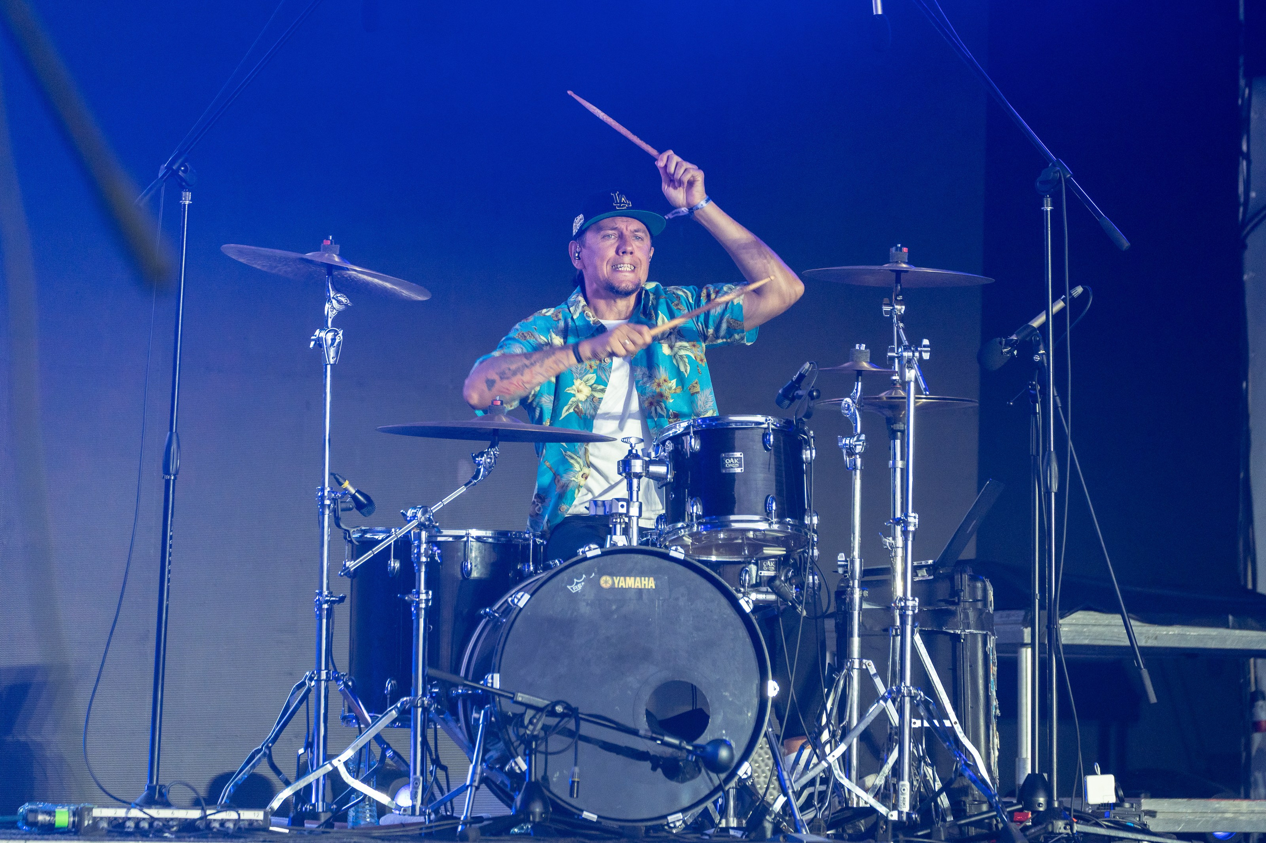 Фотографии музыкального фестиваля Дикая Мята 2025. Фотограф Николай Прокофьев модельные тесты в Москве