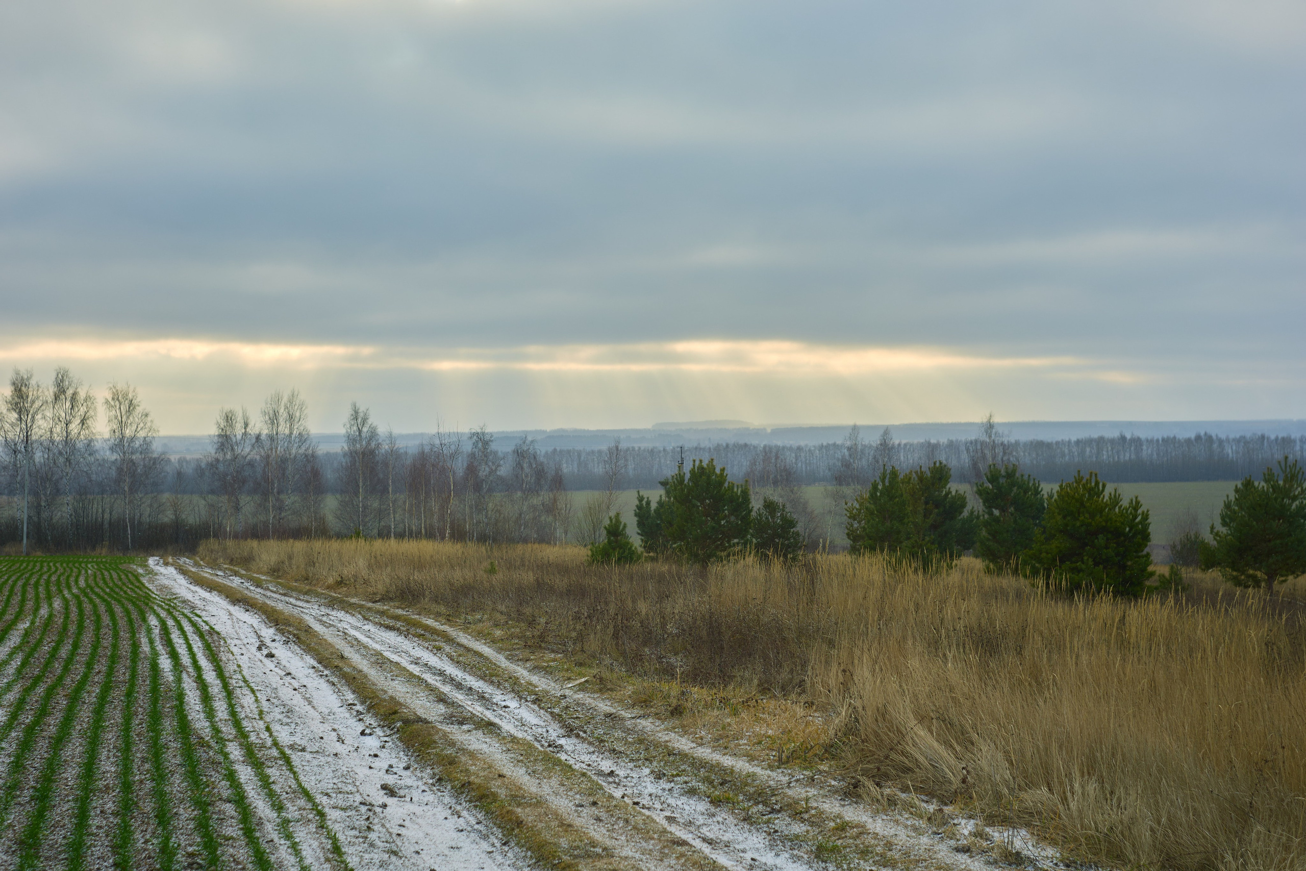 Пейзажная фотосъемка. Владимир Суздалов (ProMaXe) — Портретный фотограф, тематические фотосессии в Чебоксарах
