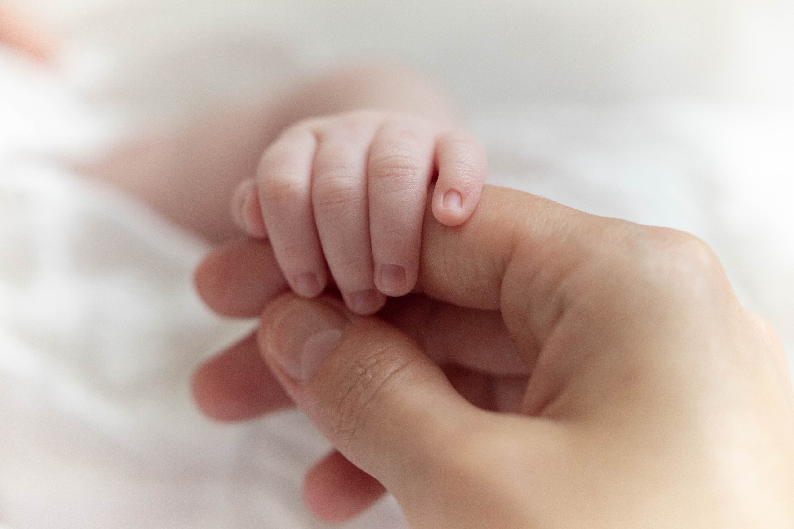 Фотограф новорожденных: истории жизни в каждом кадре. Фотограф новорожденных: волшебные моменты первых дней жизни