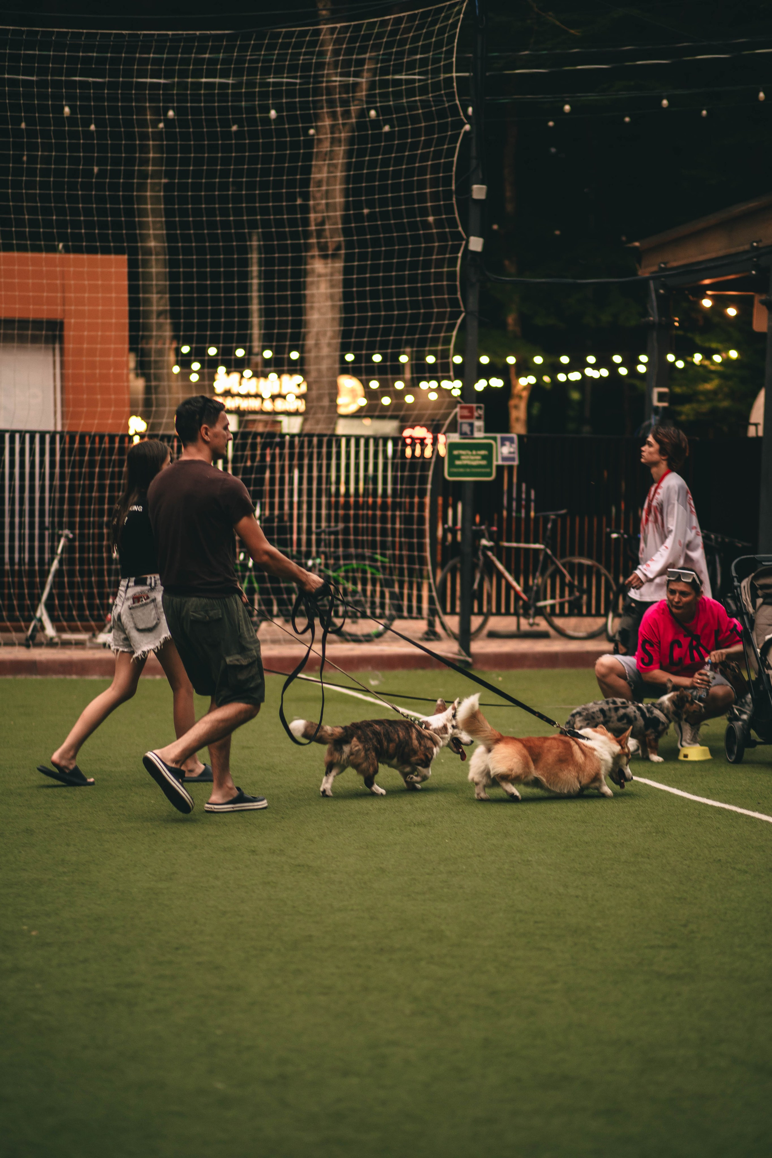 Pet-Party + Live-music |Парк Культуры. Фотограф в Ставрополе Алина Клочкова