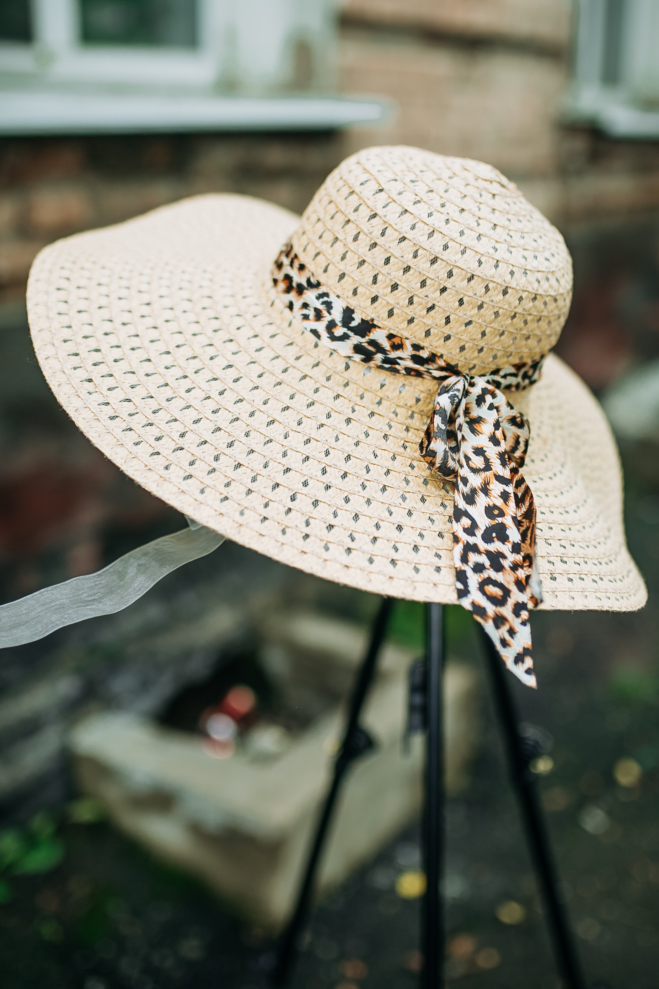 Художник. Фотограф в Новосибирске Ася Зверева