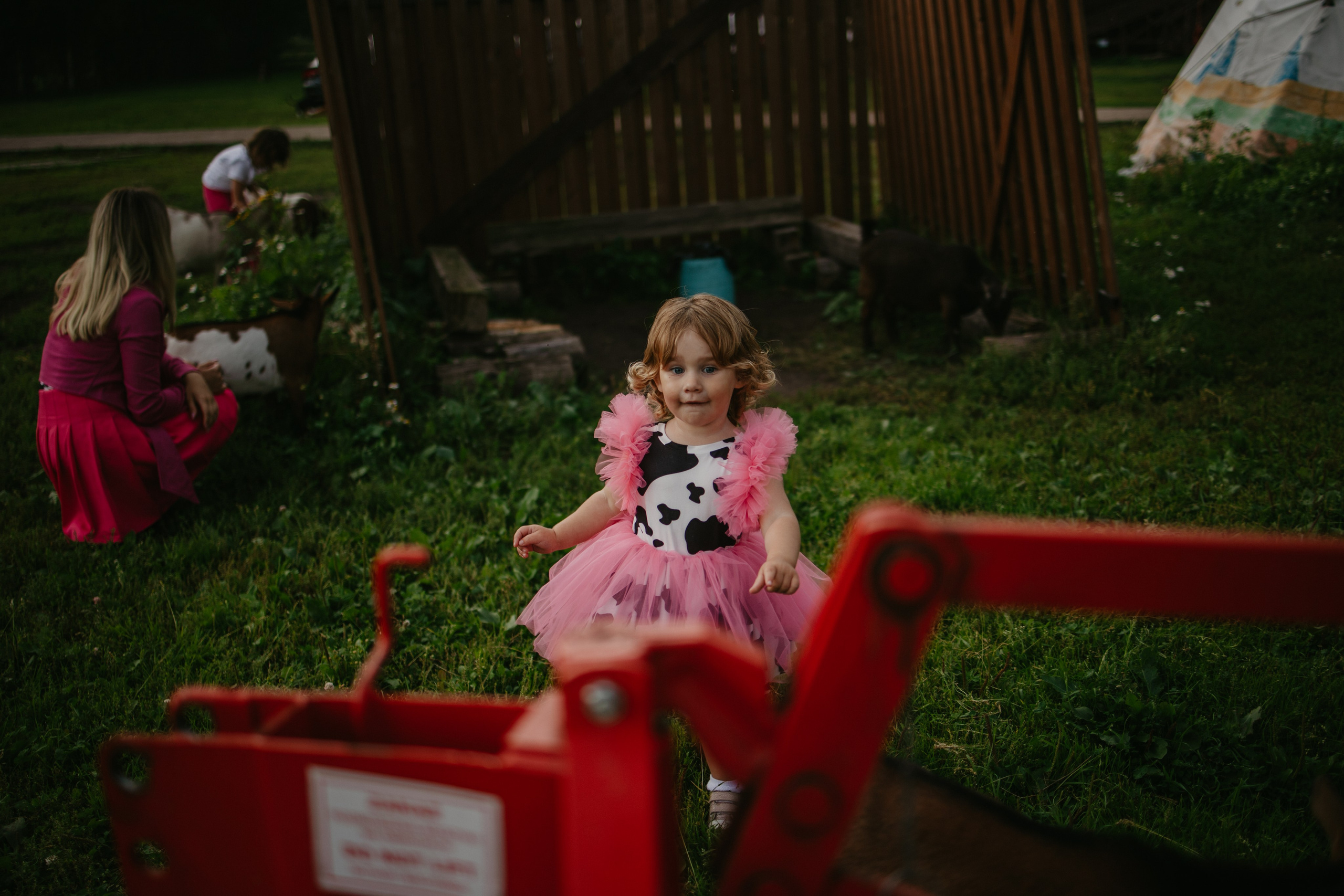 Лера 2 годика. Репортажный и портретный фотограф в Санктпетербурге. Видиосъемка мероприятий в Санкт-Петербурге