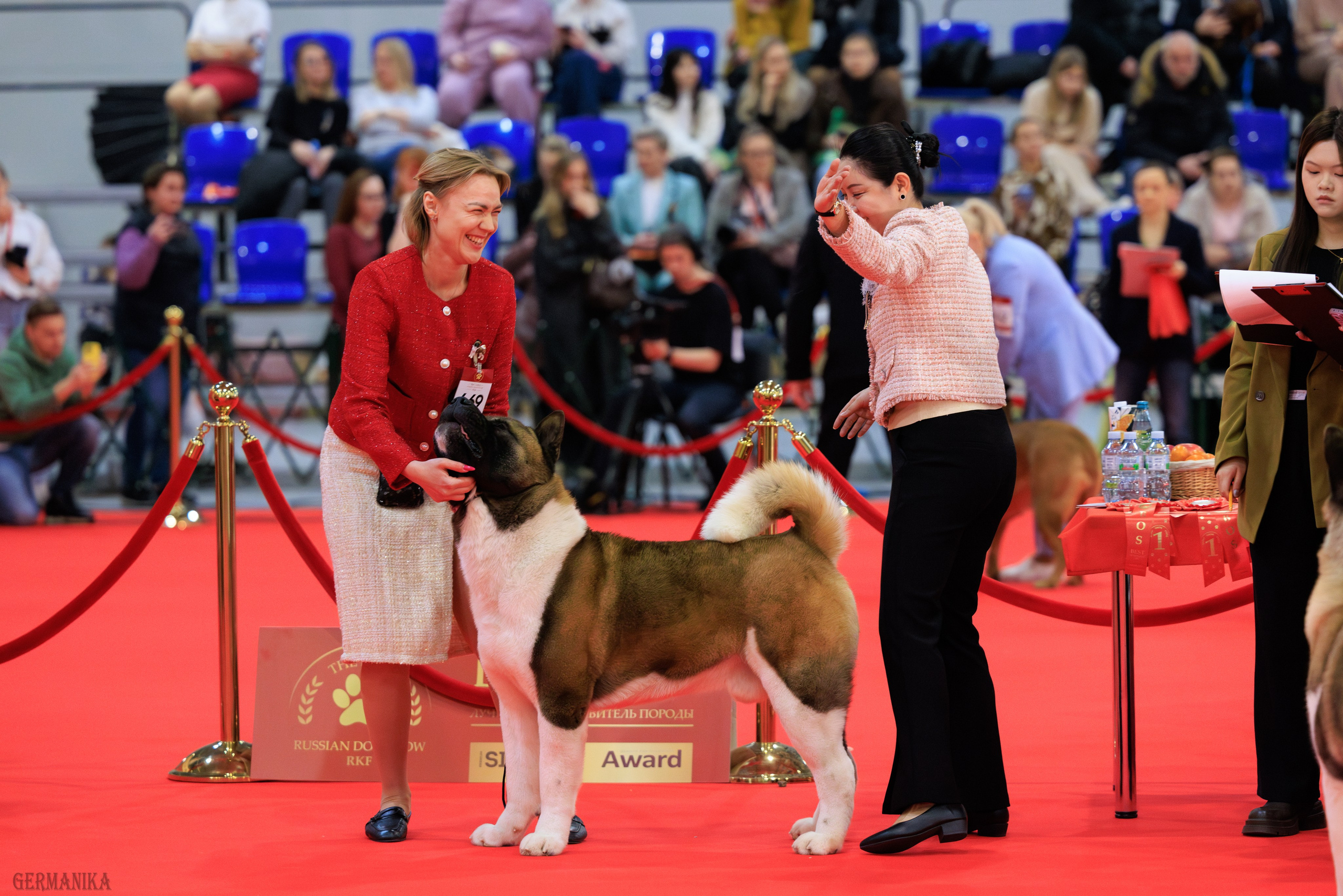 Лучшие Собаки России 17-18.02.2024. Фотограф-анималист Юлия Германика