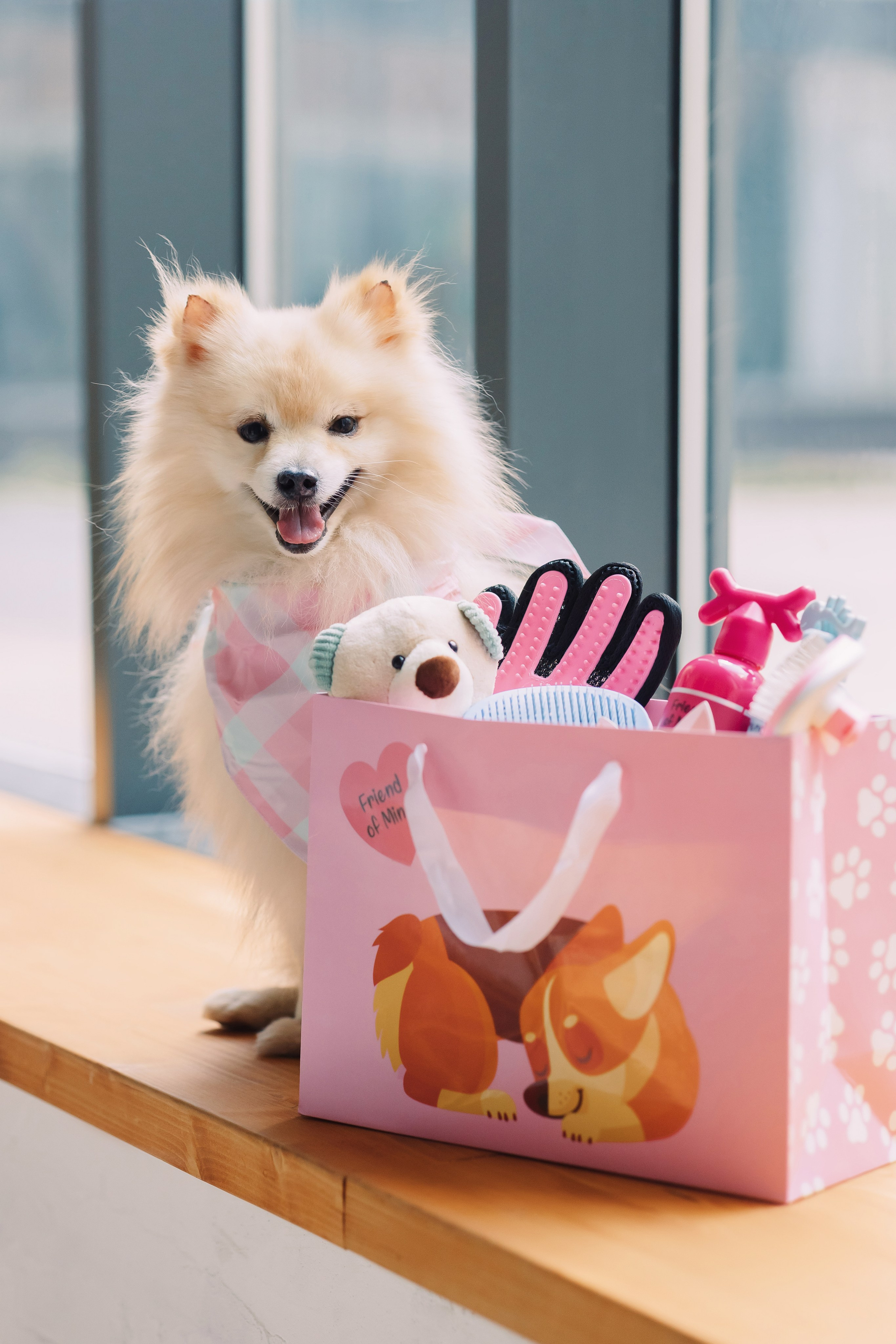 Магазин Friend of mine. Фотограф-анималист Елена Радченко, Москва