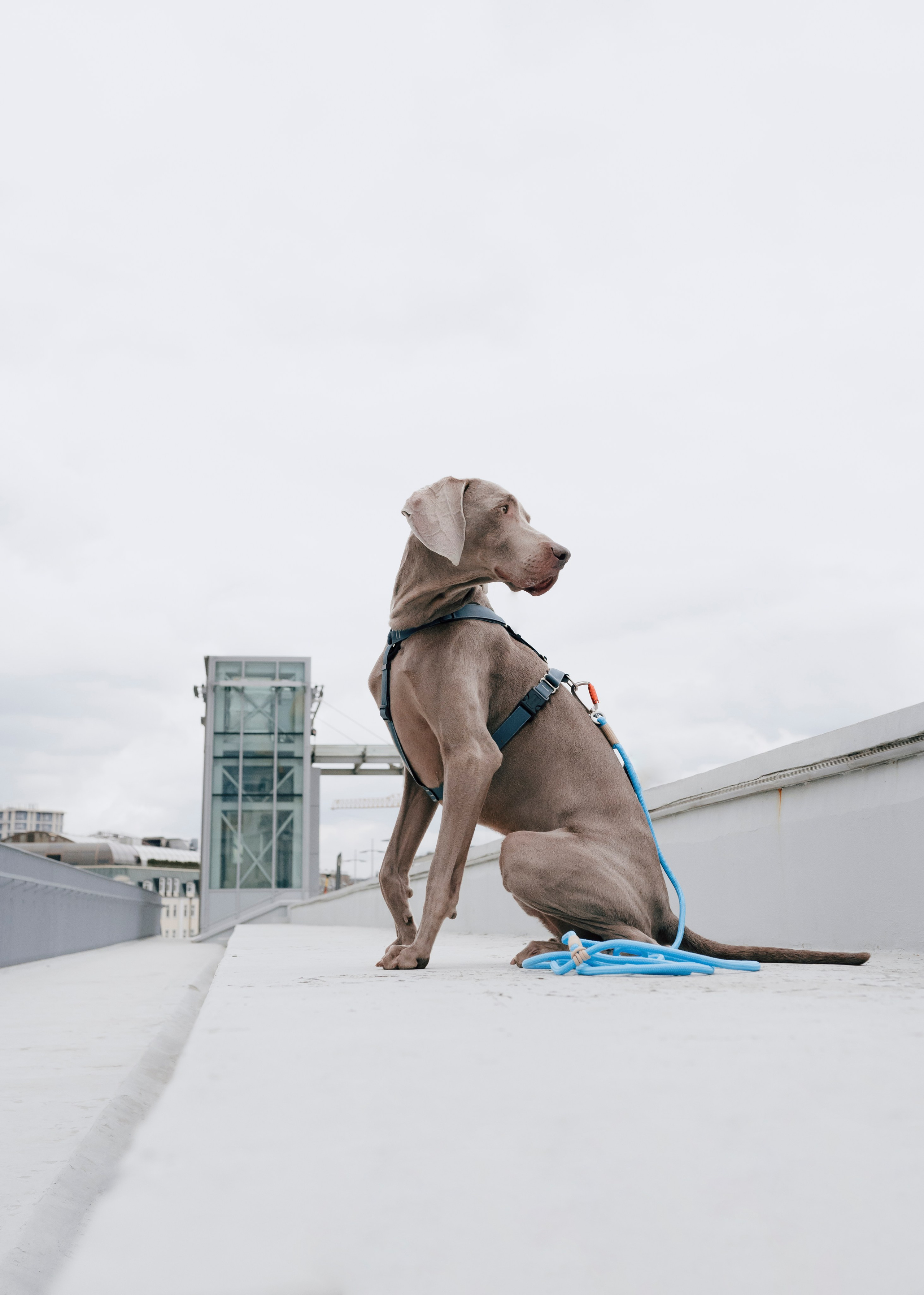 Держись меня. Фотограф- анималист Александра Матвеева